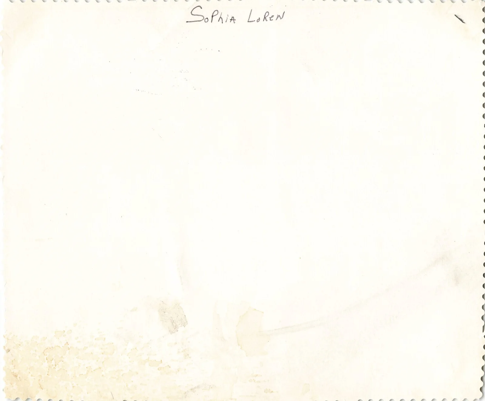 Sophia Loren — Sophia Loren Photo Hand Signed Autograph More Than A Miracle Movie *P153a, изображение 3
