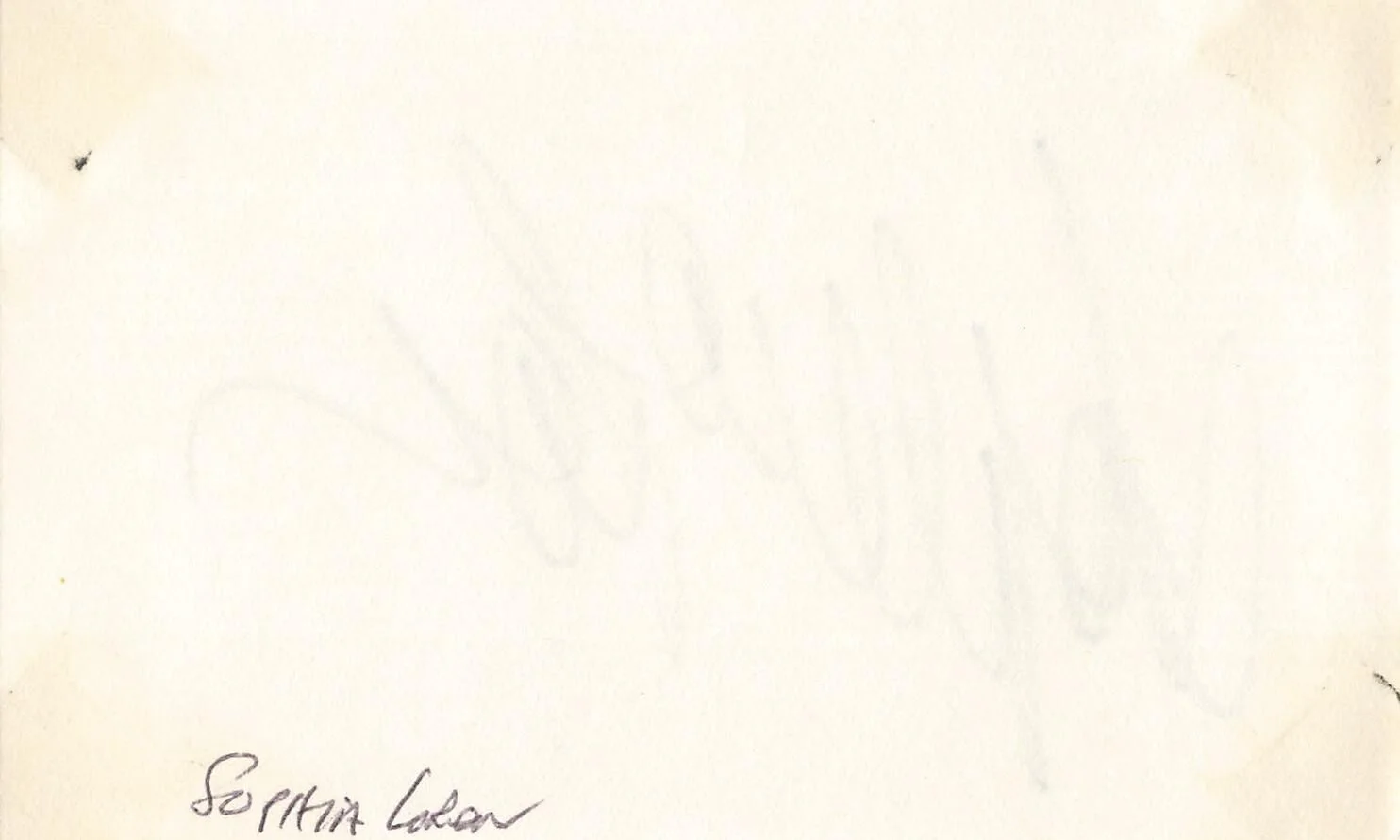 Sophia Loren — Sophia Loren 1980s Candid Photo & Hand Signed Autograph Card Event *Am10b2, изображение 3