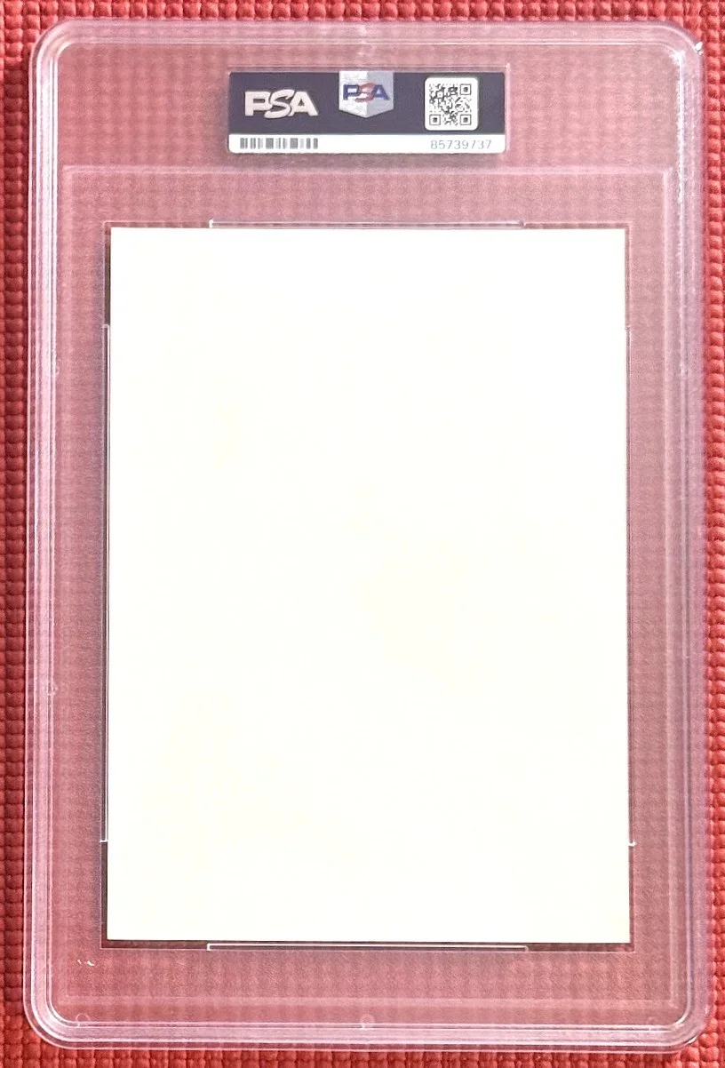 Stephanie Beacham — PSA/DNA slabbed & signed STEPHANIE BEACHAM autographed 5"x 7" Photo DYNASTY #2, image 4
