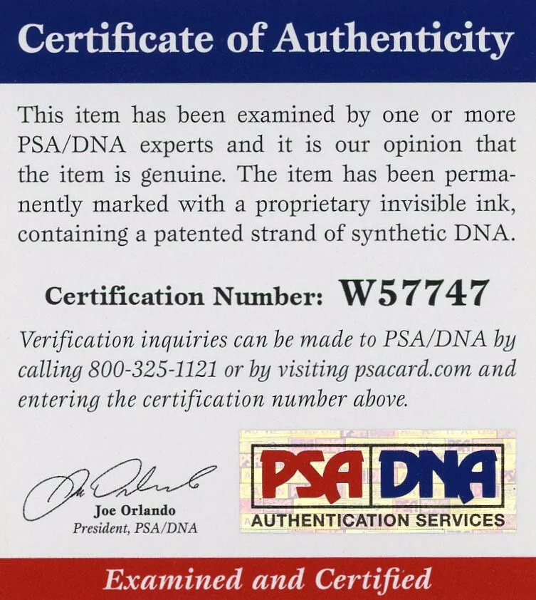 Mariska Hargitay — Mariska Hargitay Signed PSA/DNA COA Autographed 8x10 Sexy Photo Autograph Auto, image 3