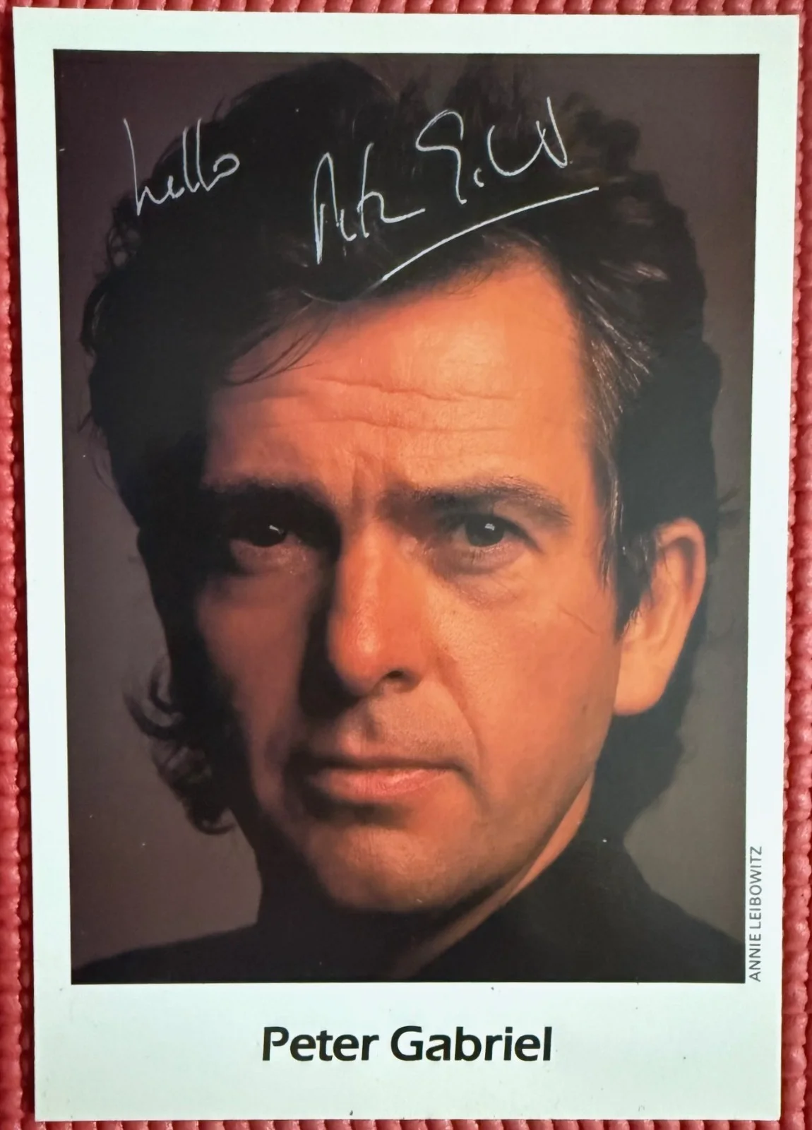 PSA/DNA slabbed & signed PETER GABRIEL autographed 4"x 6" Color Photo GENESIS, изображение 5