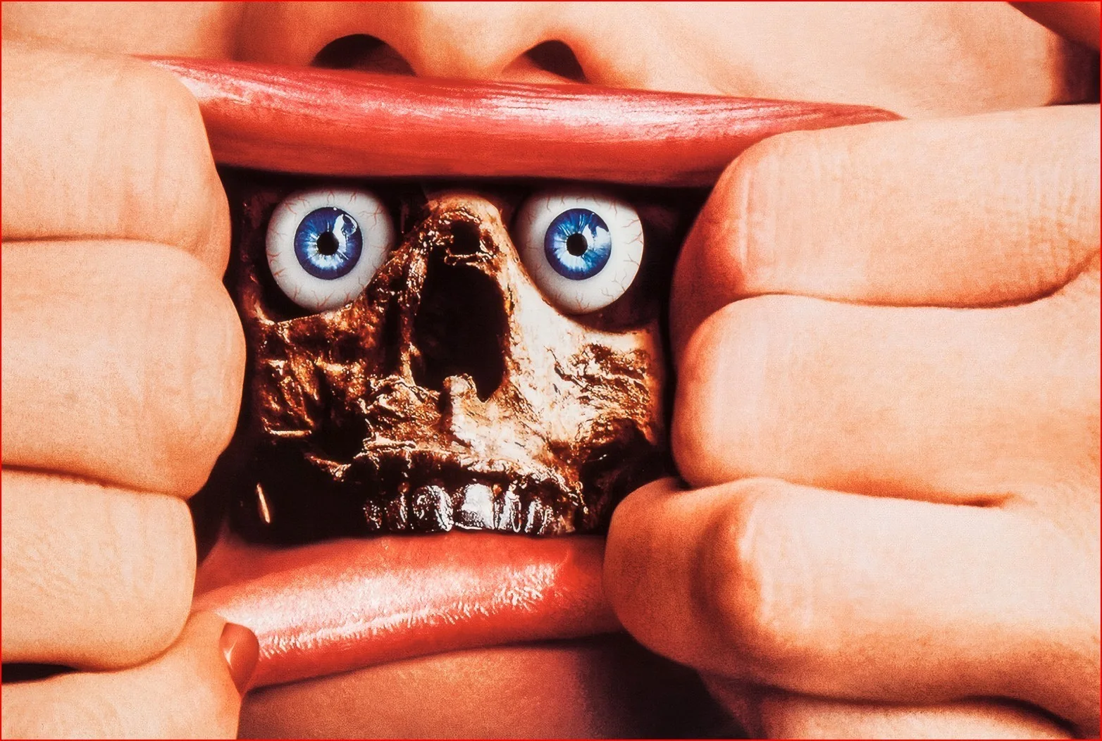 Dead Alive - 1992 Horror Splatter Sci-Fi Film Restored 27.2" x 41" US One Sheet, изображение 5