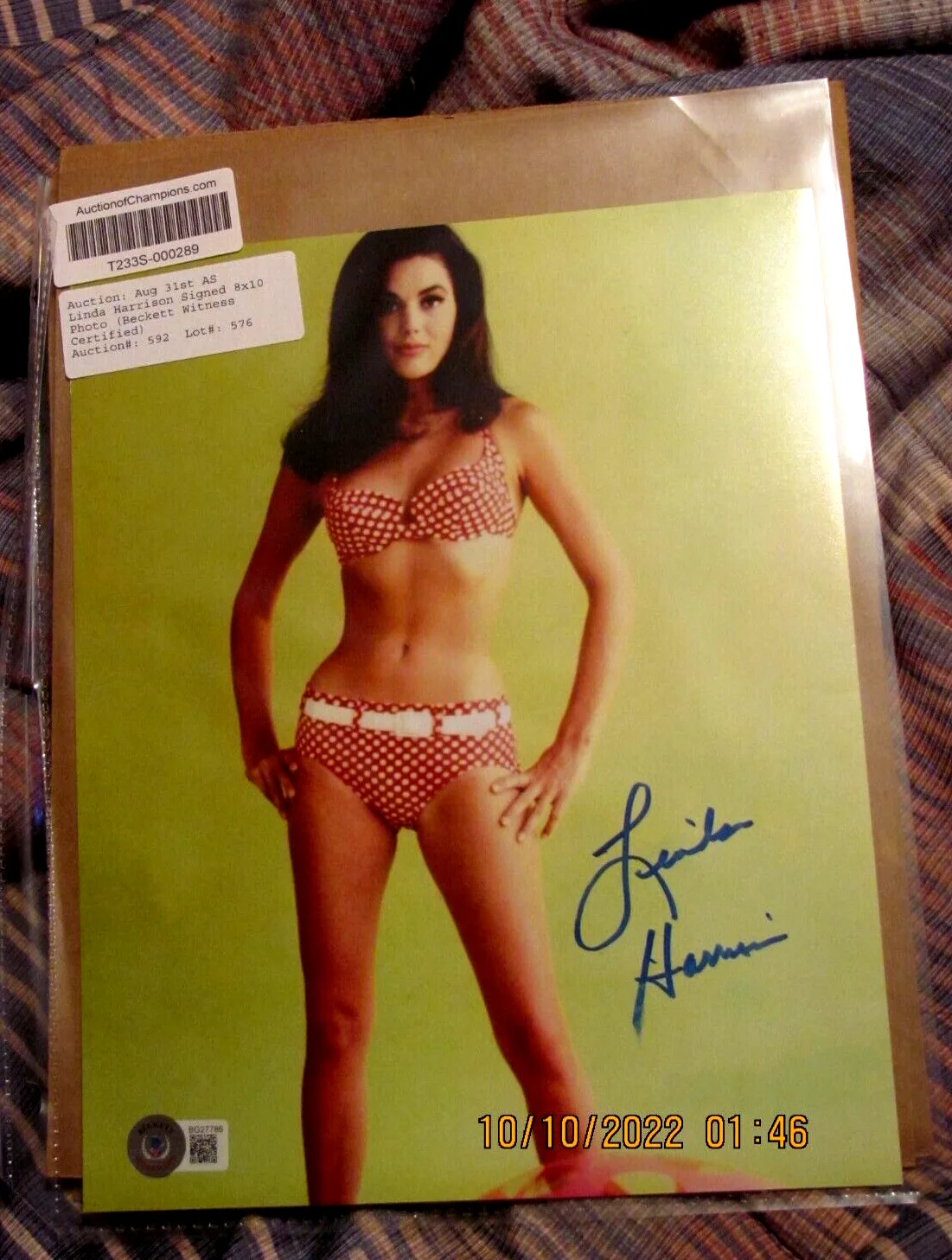 Linda Harrison — Linda Harrison autographed signed 8x10 photo Beckett BAS COA Sexy Hot Nova Rare