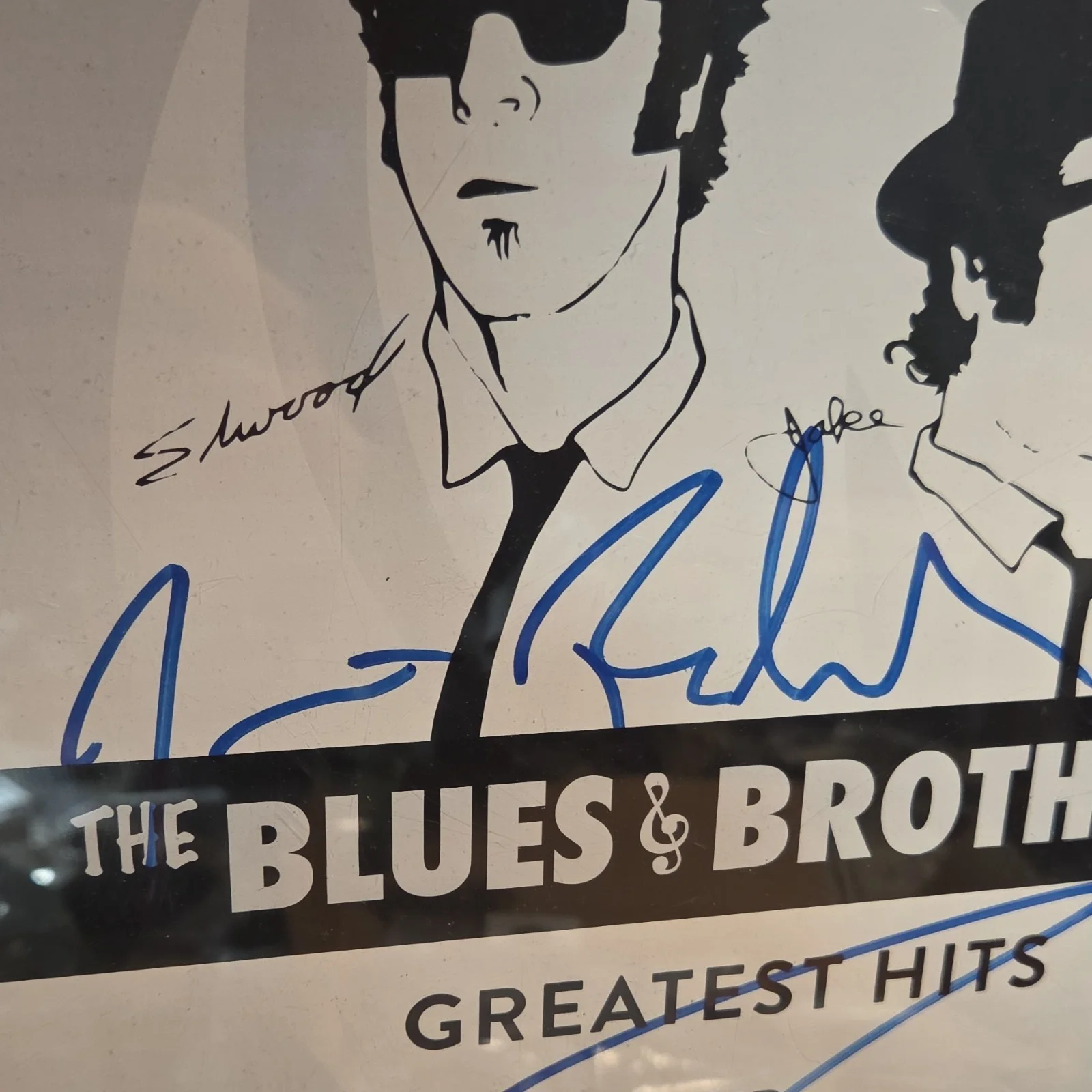 The Blues Brothers brand Signed Autographed cannabis poster kim belishi, image 2