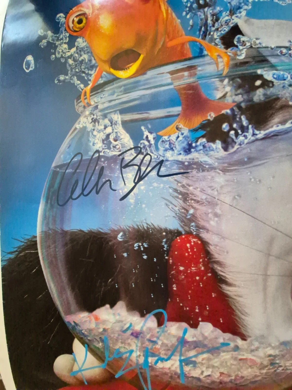 SEE BELOW — THE CAT IN THE HAT -DR. SUESS mike Myers -CAST SIGNED-THE MOVIE POSTER ekim, изображение 3