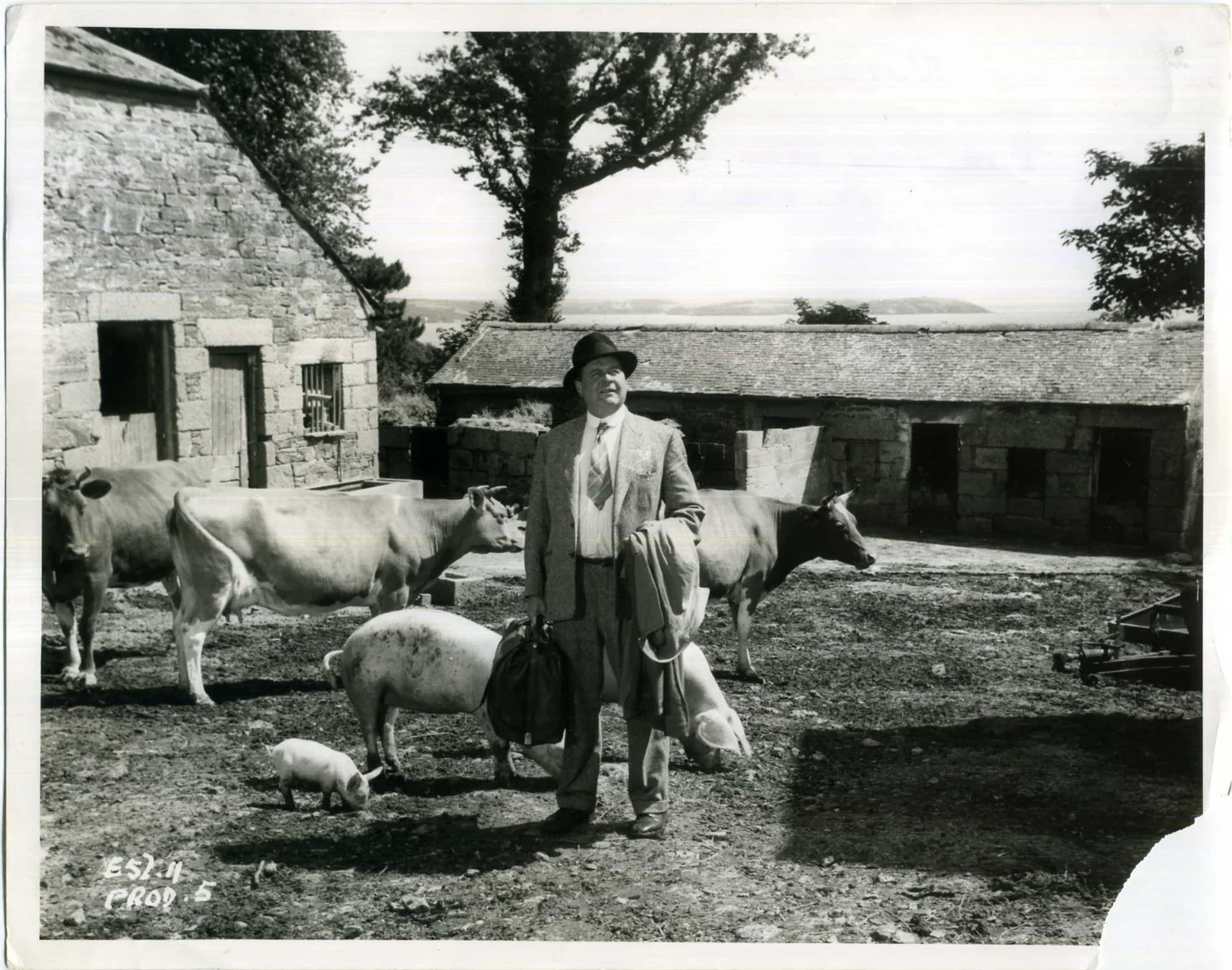 SHE DIDN’T SAY NO! 1958 Niall MacGinnis FARM Cows Pigs 2 10x8 STILLS, image 2