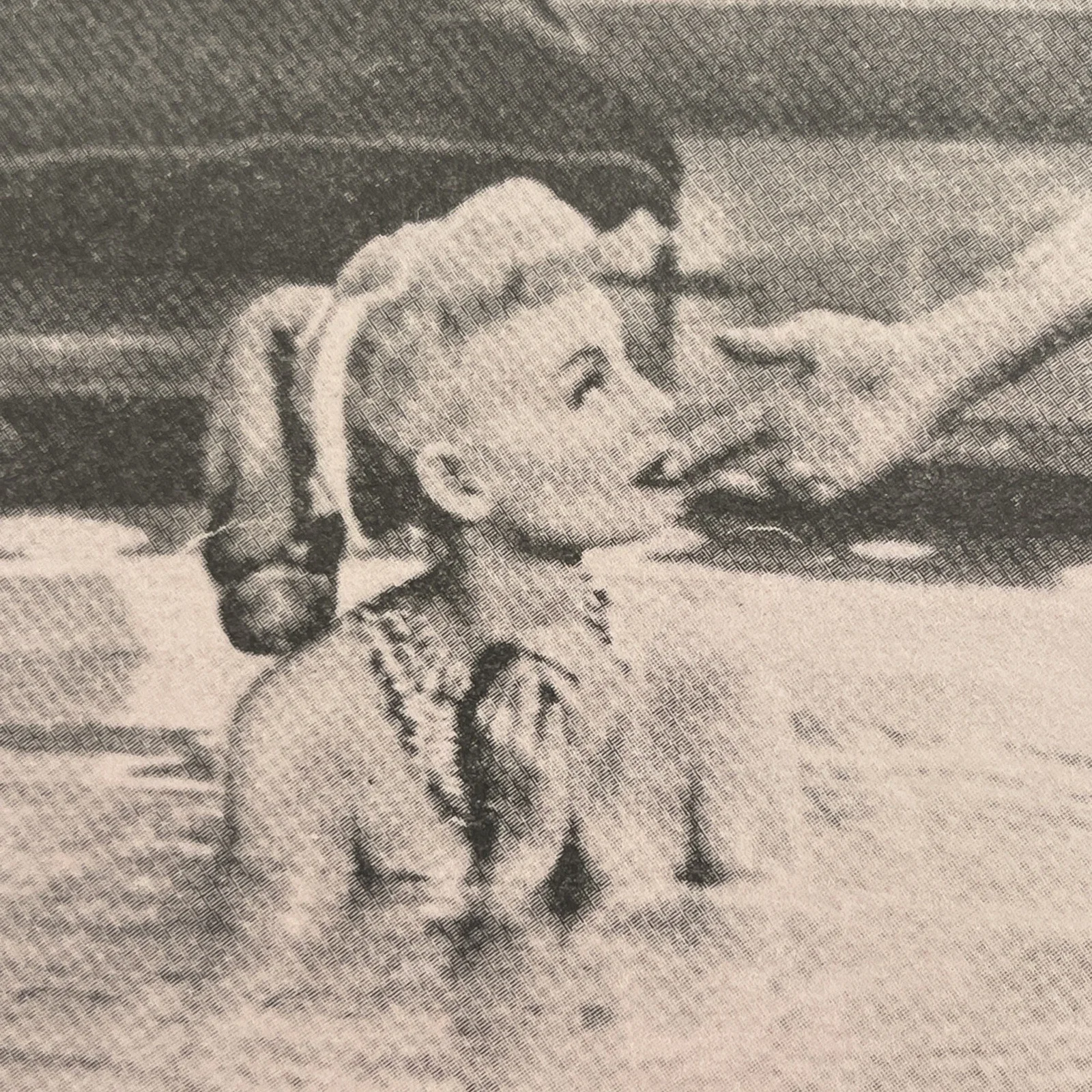 LILI ST. CYR Legendary Pinup Girl: Hand Signed Celebrity Window Card 8x11” / KSK, изображение 4