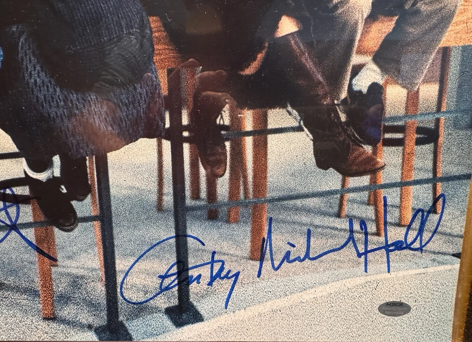 Estevez, Ringwald, Nelson, Hall, Sheedy — Breakfast Club All Five Cast Members Signed 16 X 20 photo: Schwartz COA, изображение 5