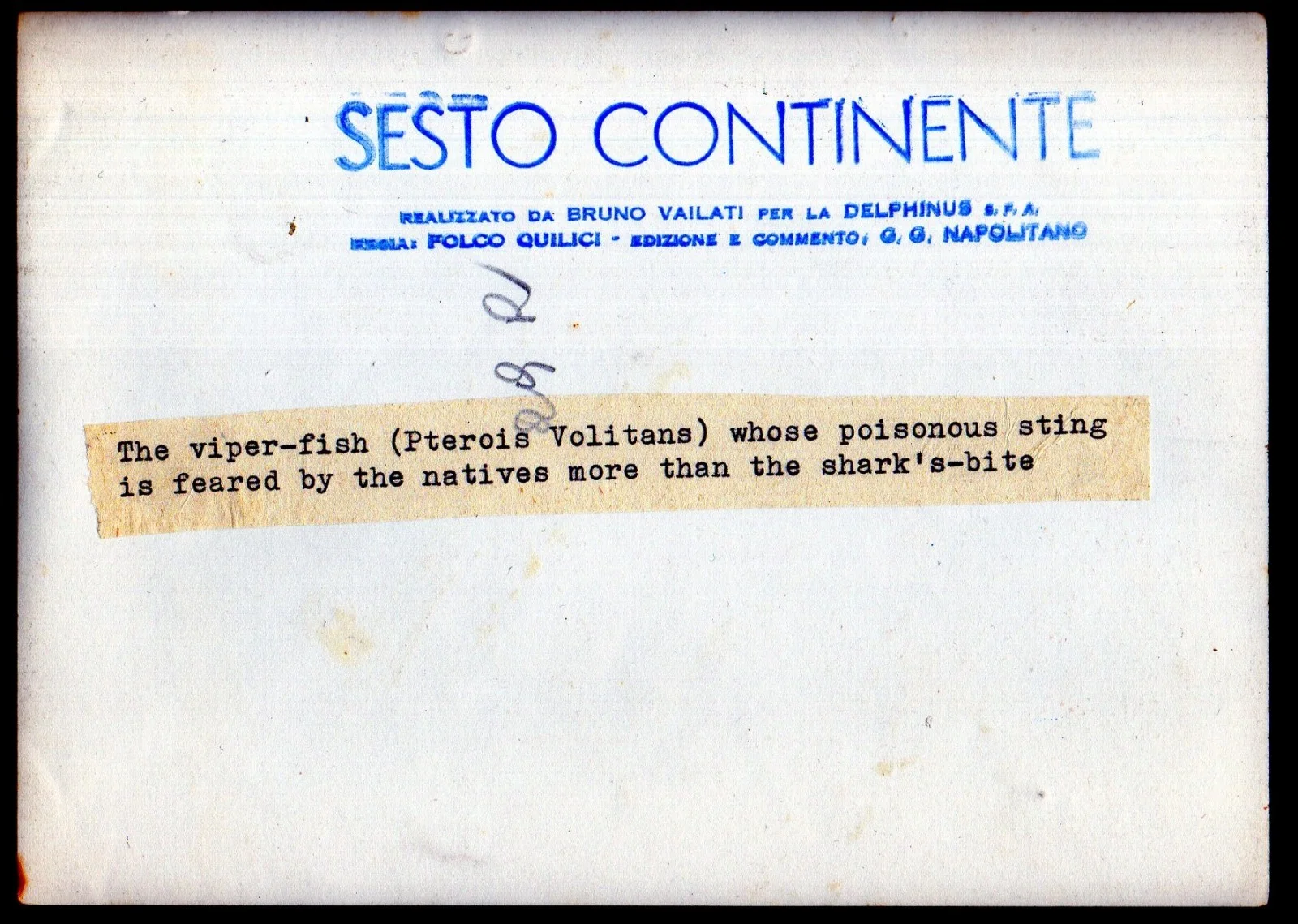 BLUE CONTINENT 1954 Folco Quilici Red Sea 5 STILLS, изображение 2