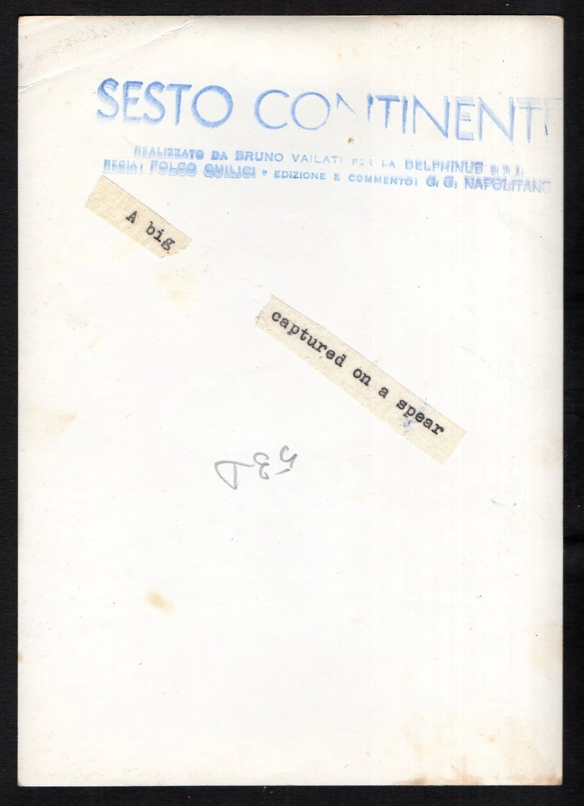 BLUE CONTINENT 1954 Folco Quilici Red Sea 5 STILLS, изображение 4