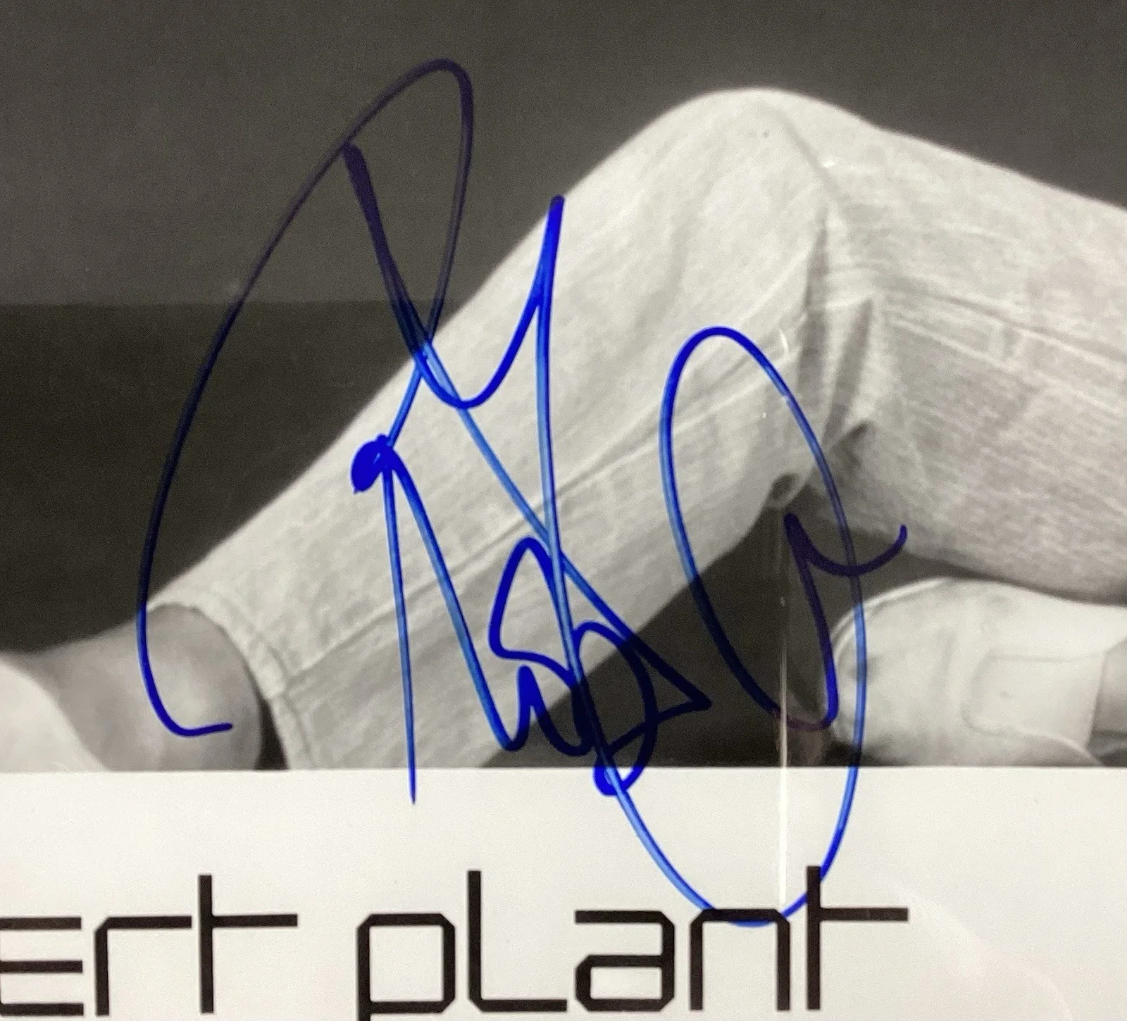 Robert Plant Signed Photo 8x10 Led Zeppelin Rock Roll HOF Autograph PSA/DNA, изображение 3