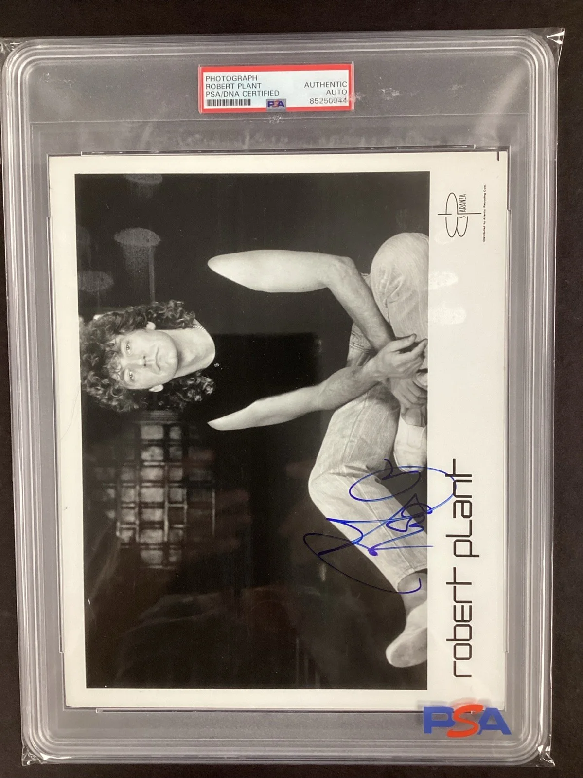 Robert Plant Signed Photo 8x10 Led Zeppelin Rock Roll HOF Autograph PSA/DNA, изображение 5