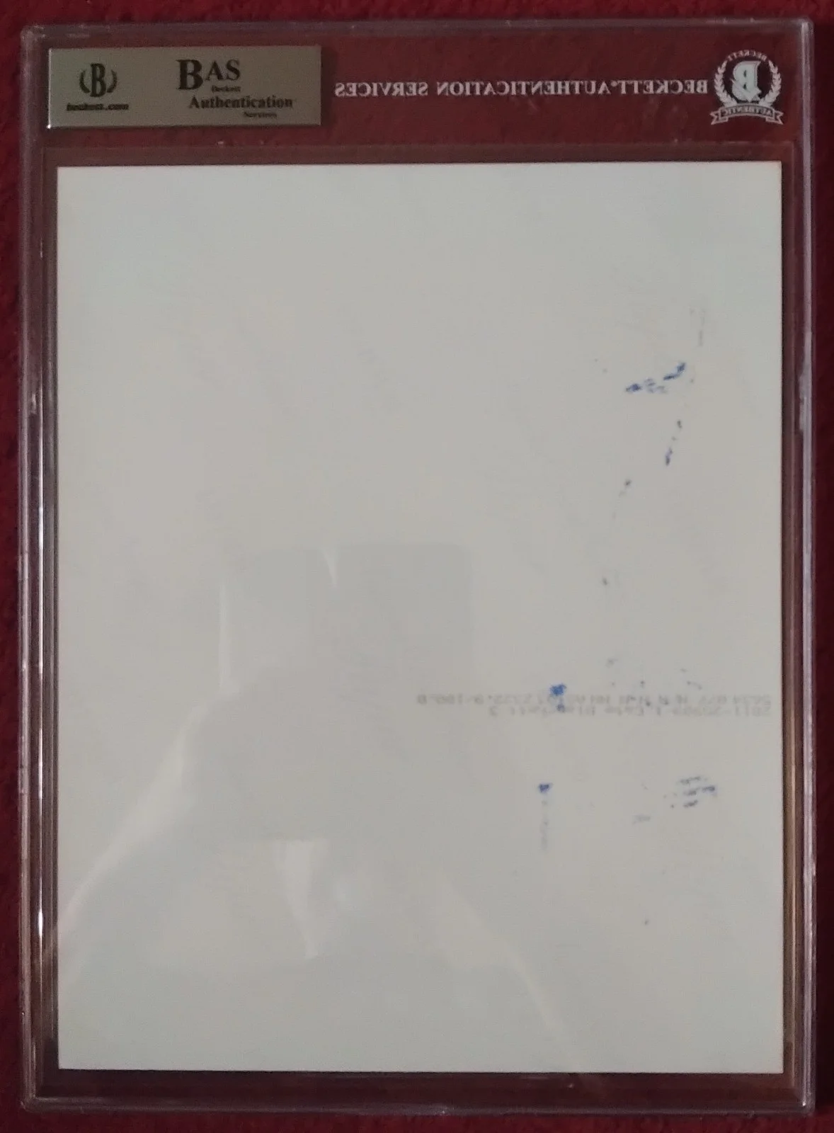 Cate Blanchett Irina Spalko Indiana Jones 10 x 8" signed photo Beckett certified, изображение 4