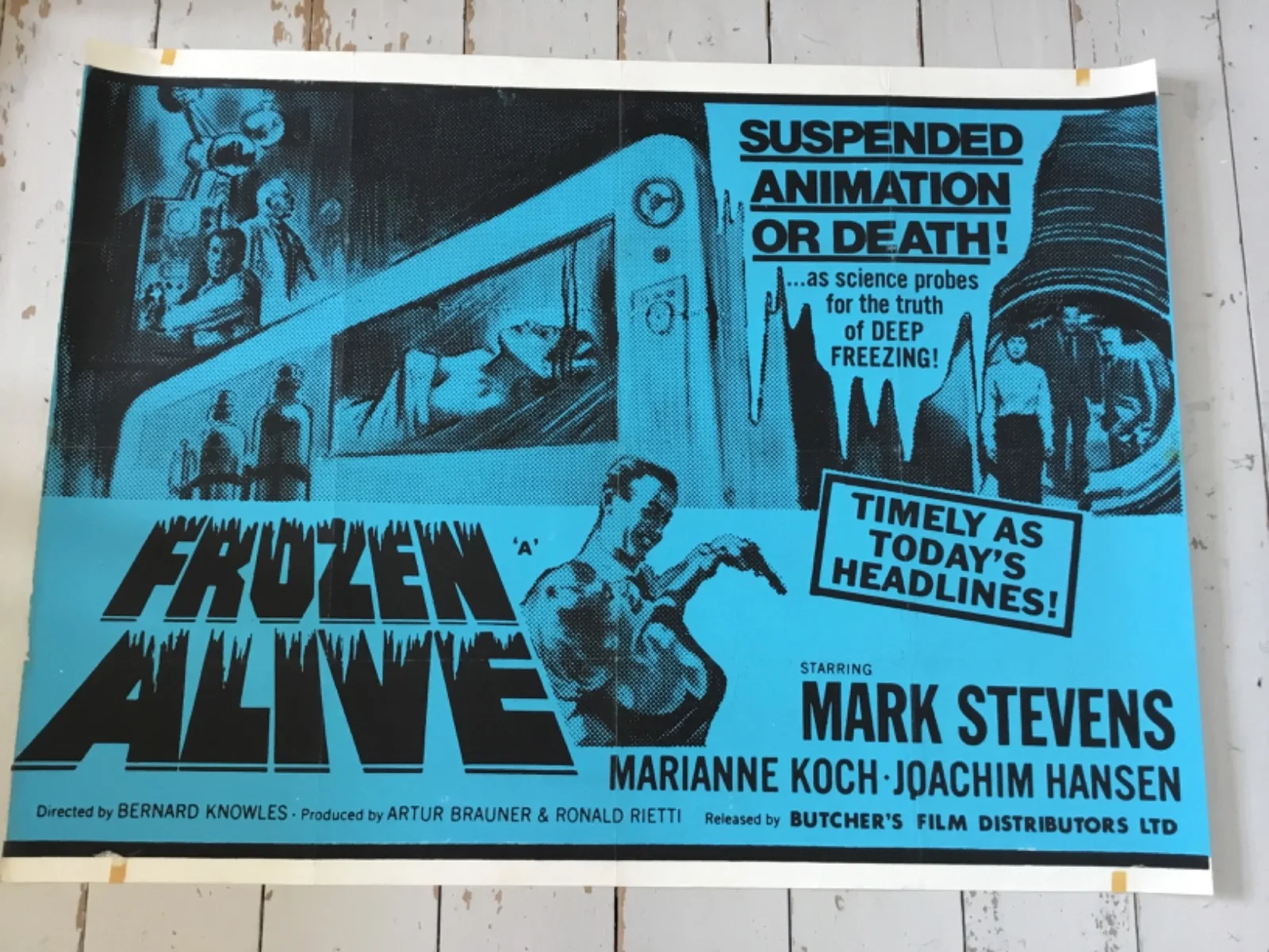 FROZEN ALIVE Original Quad Film Poster Cult Sci-Fi Classic 1964 RARE, изображение 2