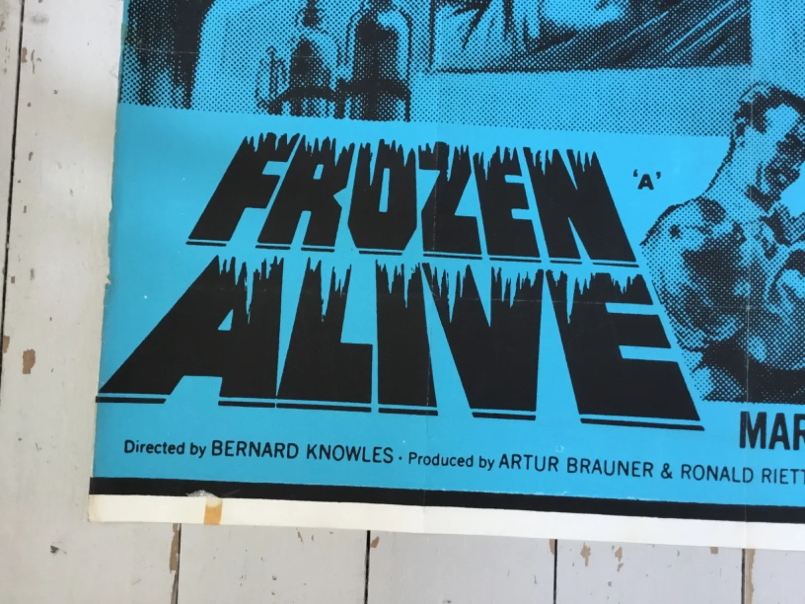 FROZEN ALIVE Original Quad Film Poster Cult Sci-Fi Classic 1964 RARE, изображение 3