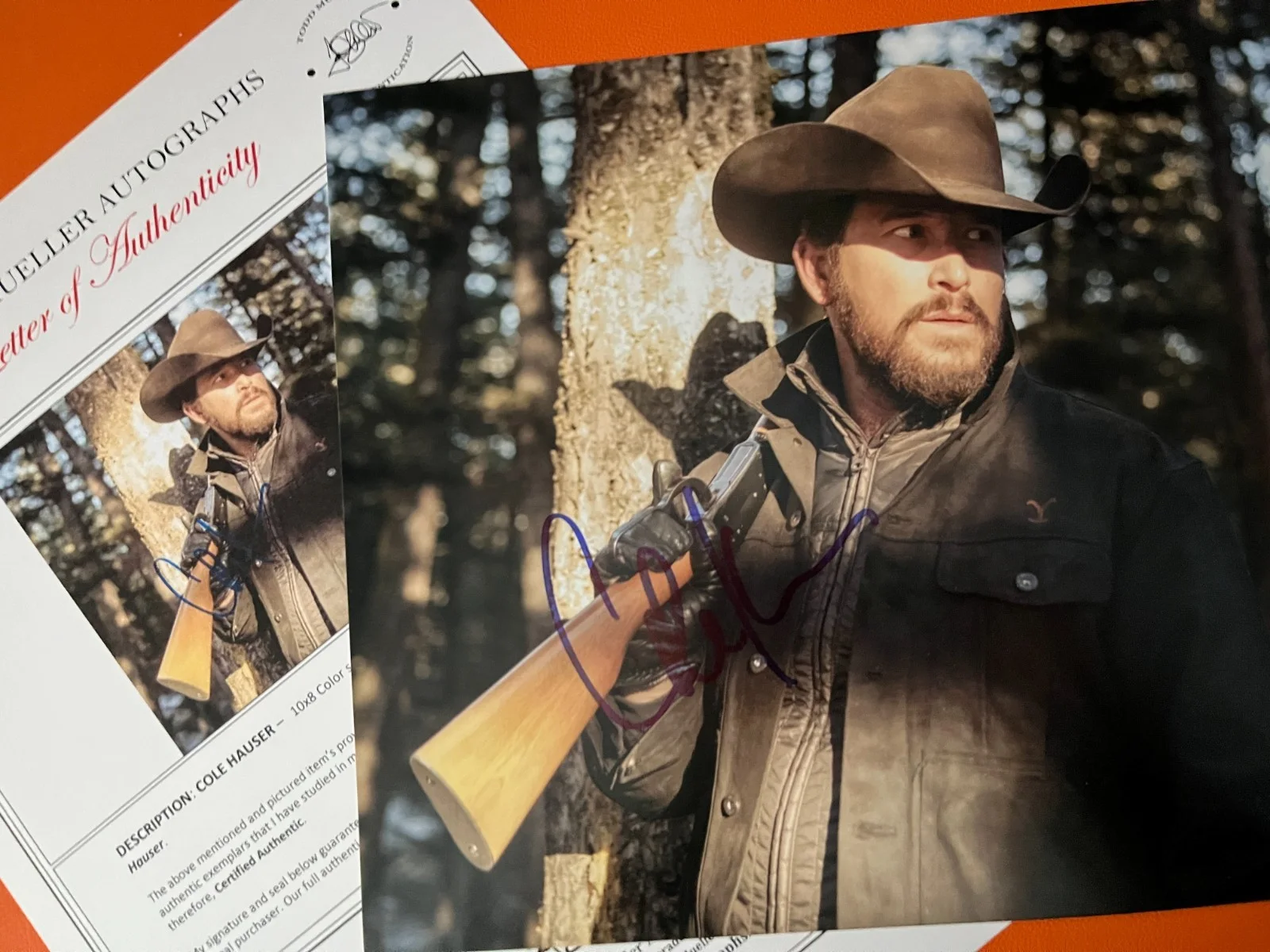 Cole Hauser — COLE HAUSER Signed•8 x 10•Rip Wheeler• YELLOWSTONE•Todd Mueller Autographs COA