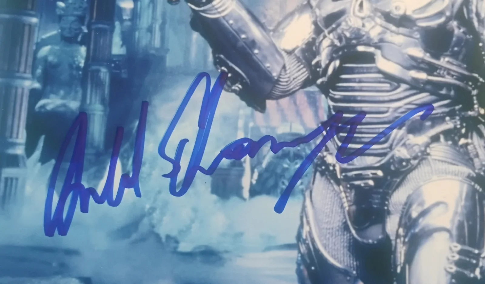 Arnold Schwarzenegger Hand Signed 8x10 Photo COA Batman NO US TARIFFS, image 3