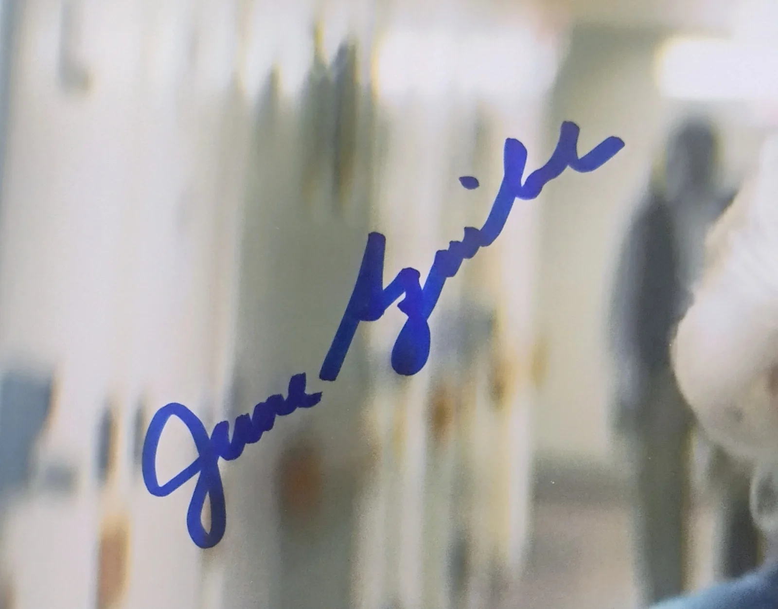 June Squibb Hand Signed Autograph 8x10 Photo COA Thelma NO US TARIFF, image 3