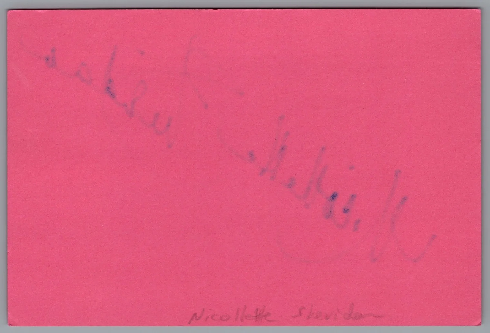Nicollette Sheridan — Nicollette Sheridan Signed 4x6 Index Card Knots Landing Autographed, изображение 2