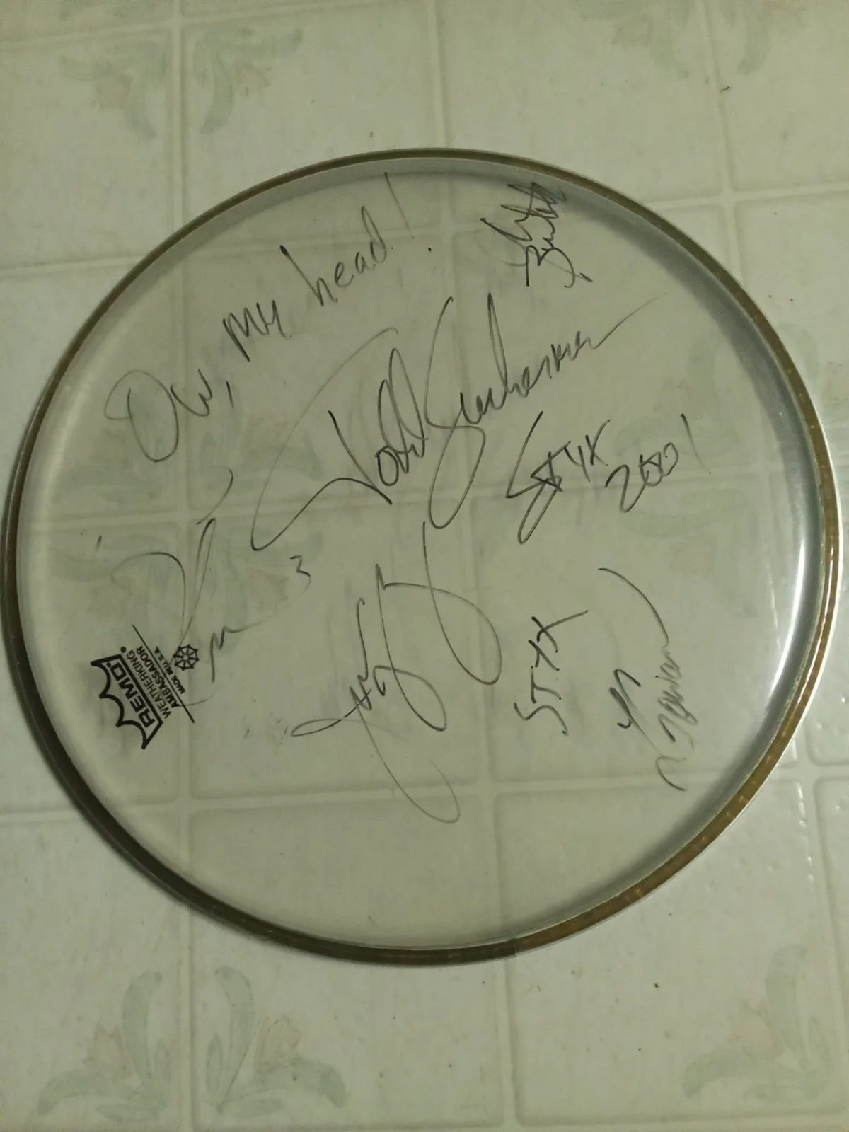 STYX Drumhead Used Remo Signed By Members Vintage 2001 12-inch, изображение 2
