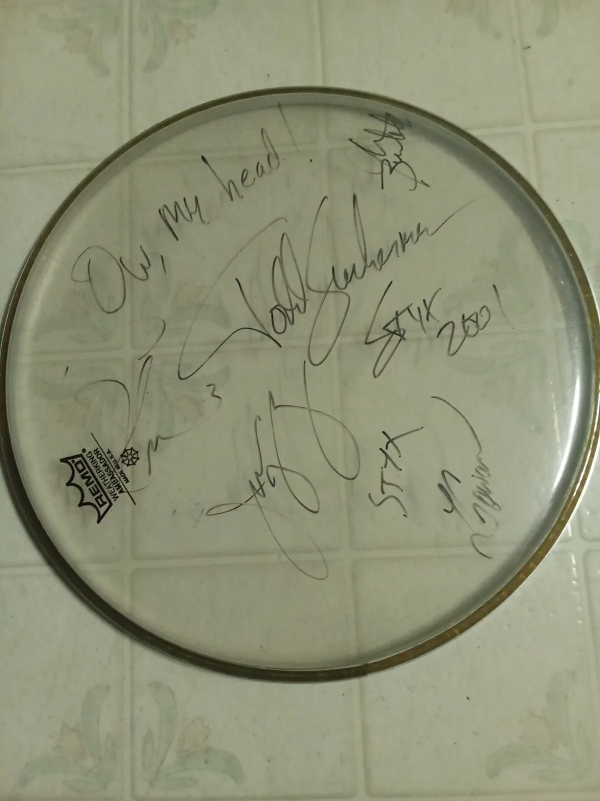 STYX Drumhead Used Remo Signed By Members Vintage 2001 12-inch, изображение 4