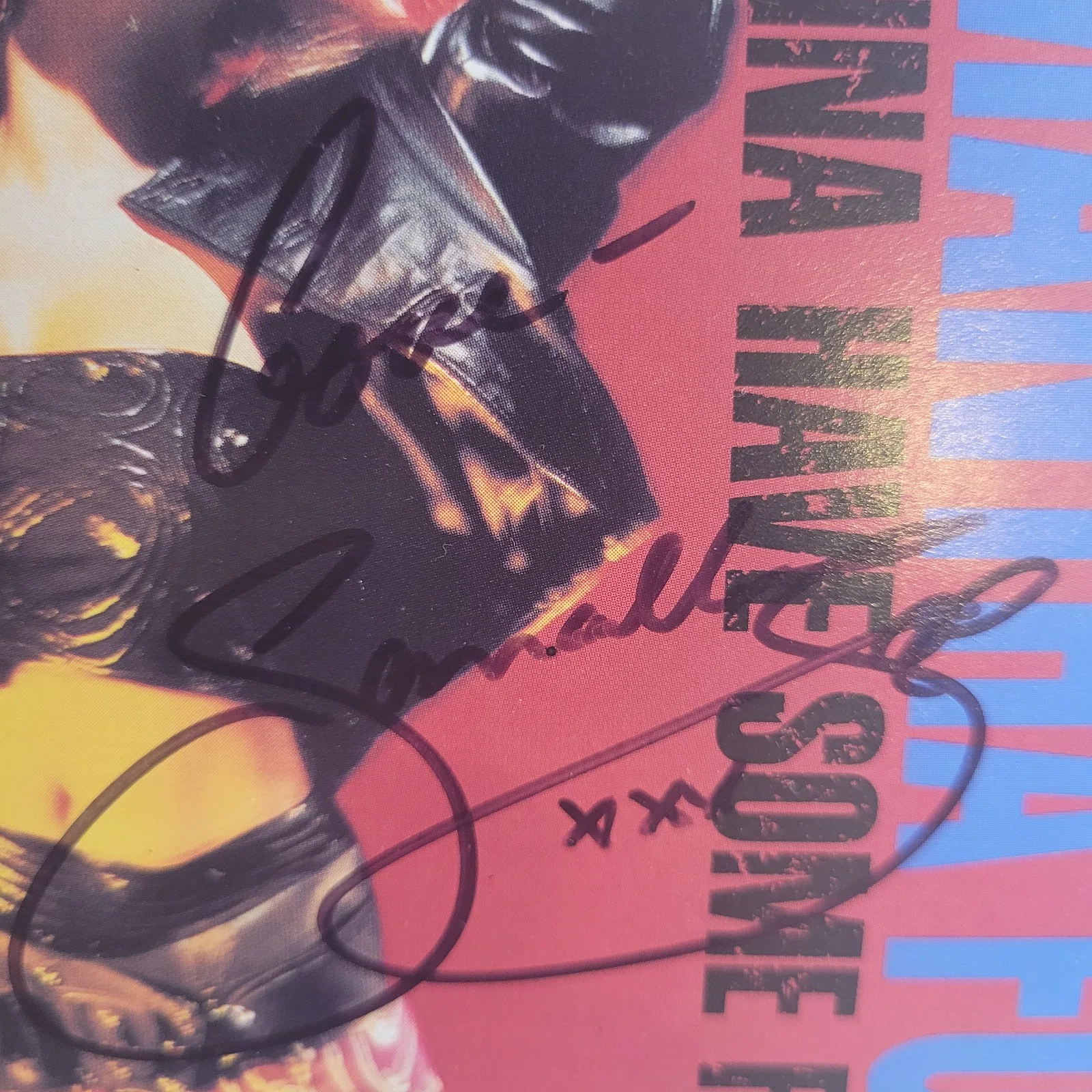 FRAMED Samantha Fox Signed Autographed Insert & Disc Cd I Wanna Have Some Fun, image 4