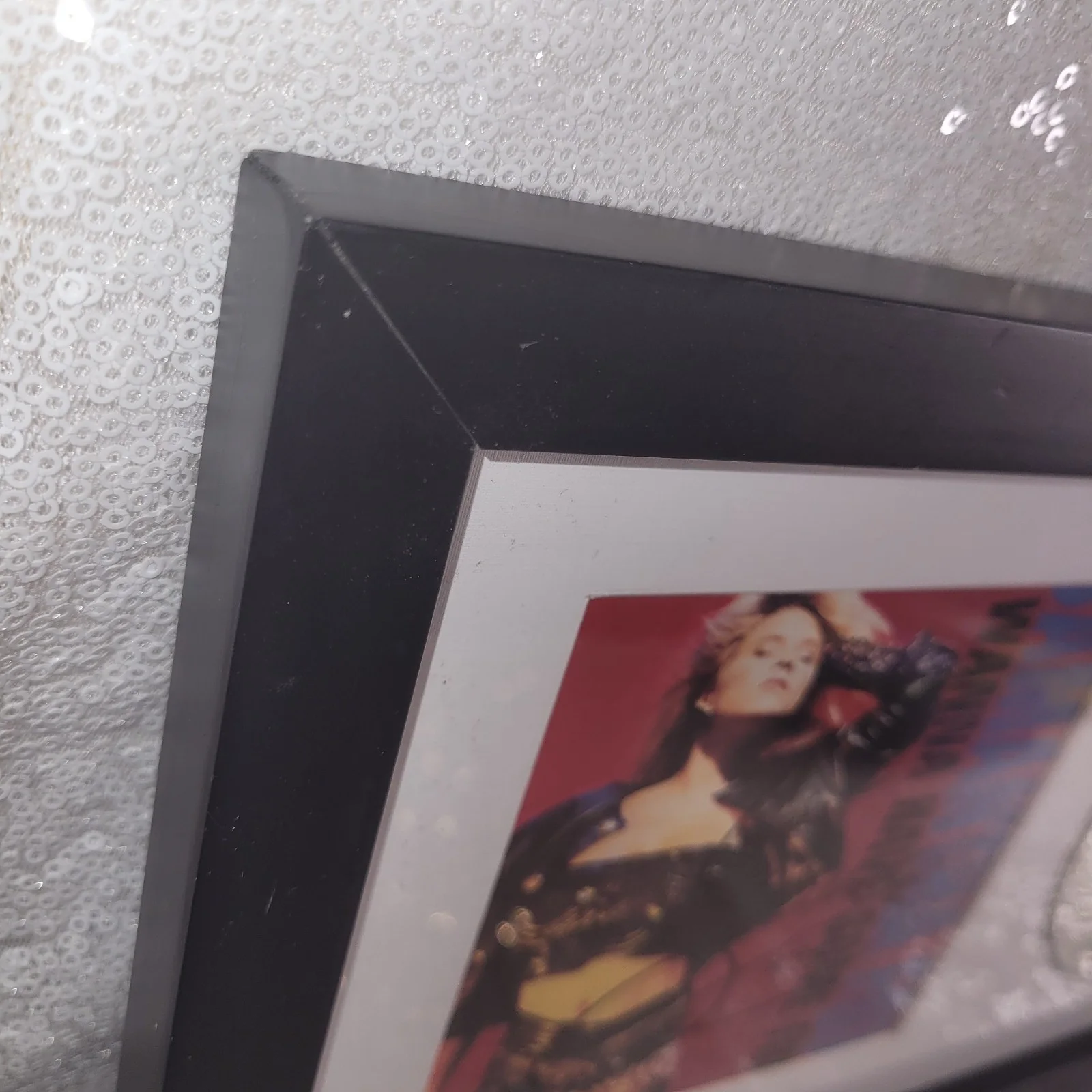 FRAMED Samantha Fox Signed Autographed Insert & Disc Cd I Wanna Have Some Fun, image 5