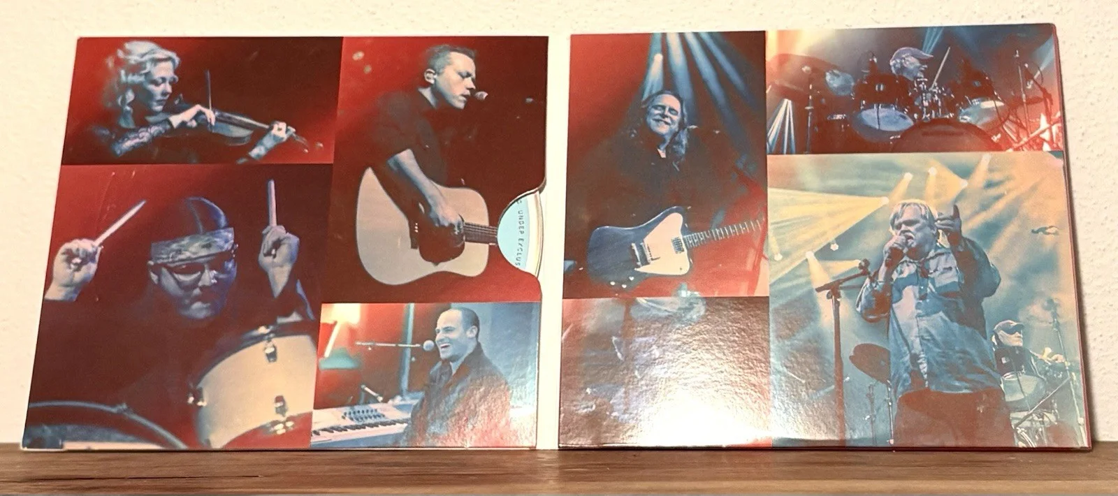 Warren Haynes SIGNED CD JSA COA The Benefit Concert, image 5