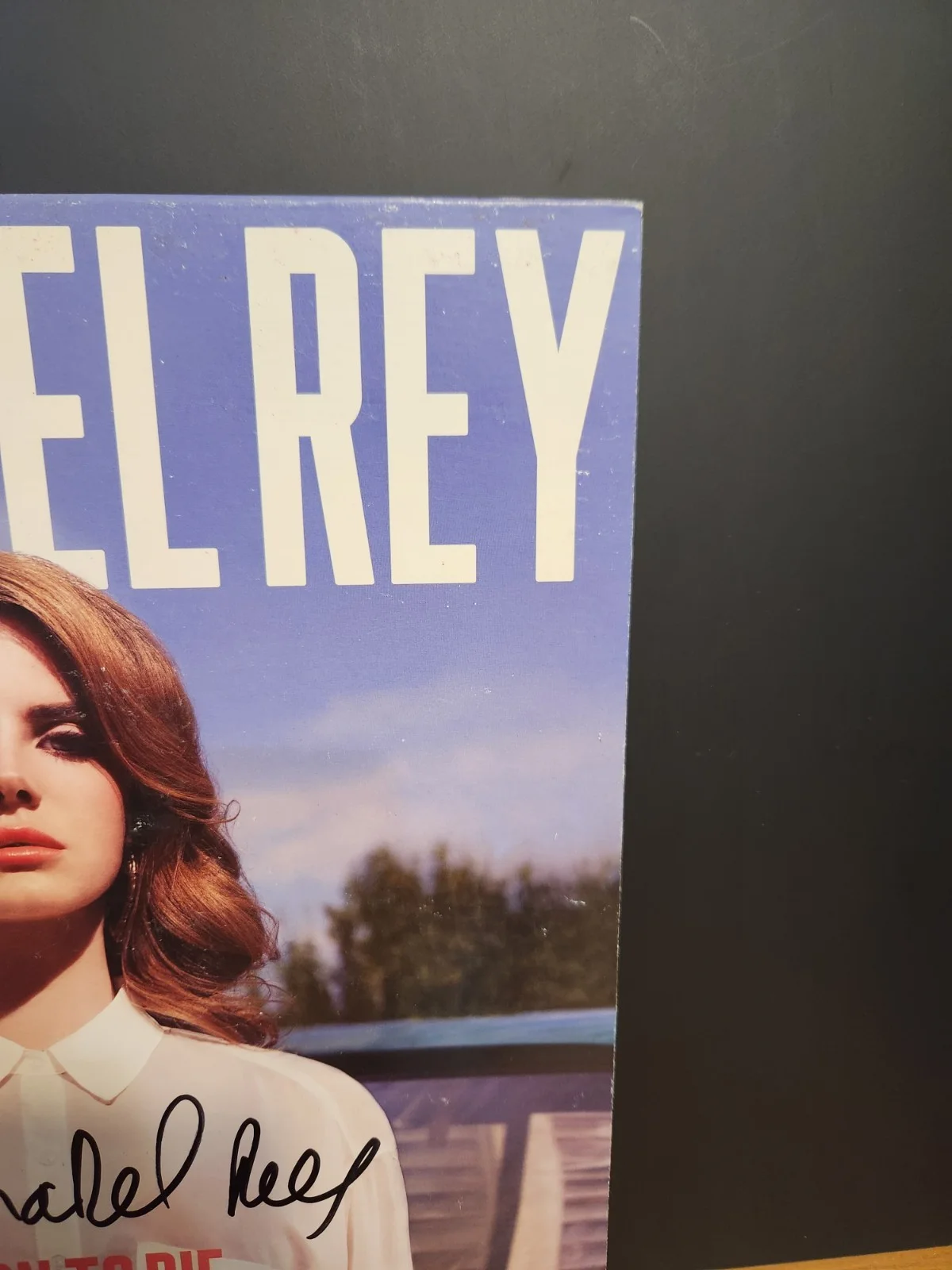 LANA DEL REY SIGNED BORN TO DIE VINYL SLEEVE BEAUTIFUL SINGER LOOK READ BAS LOA, изображение 4
