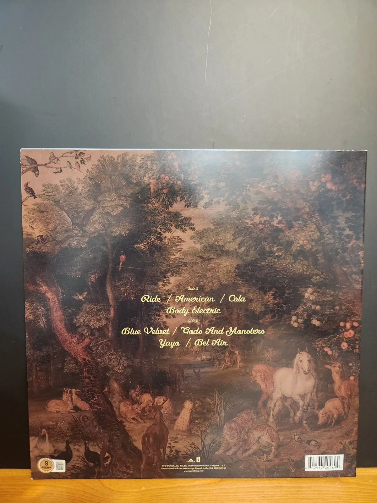 LANA DEL REY SIGNED PARADISE VINYL BEAUTIFUL SINGER BAS BECKETT LOA RARE, изображение 2
