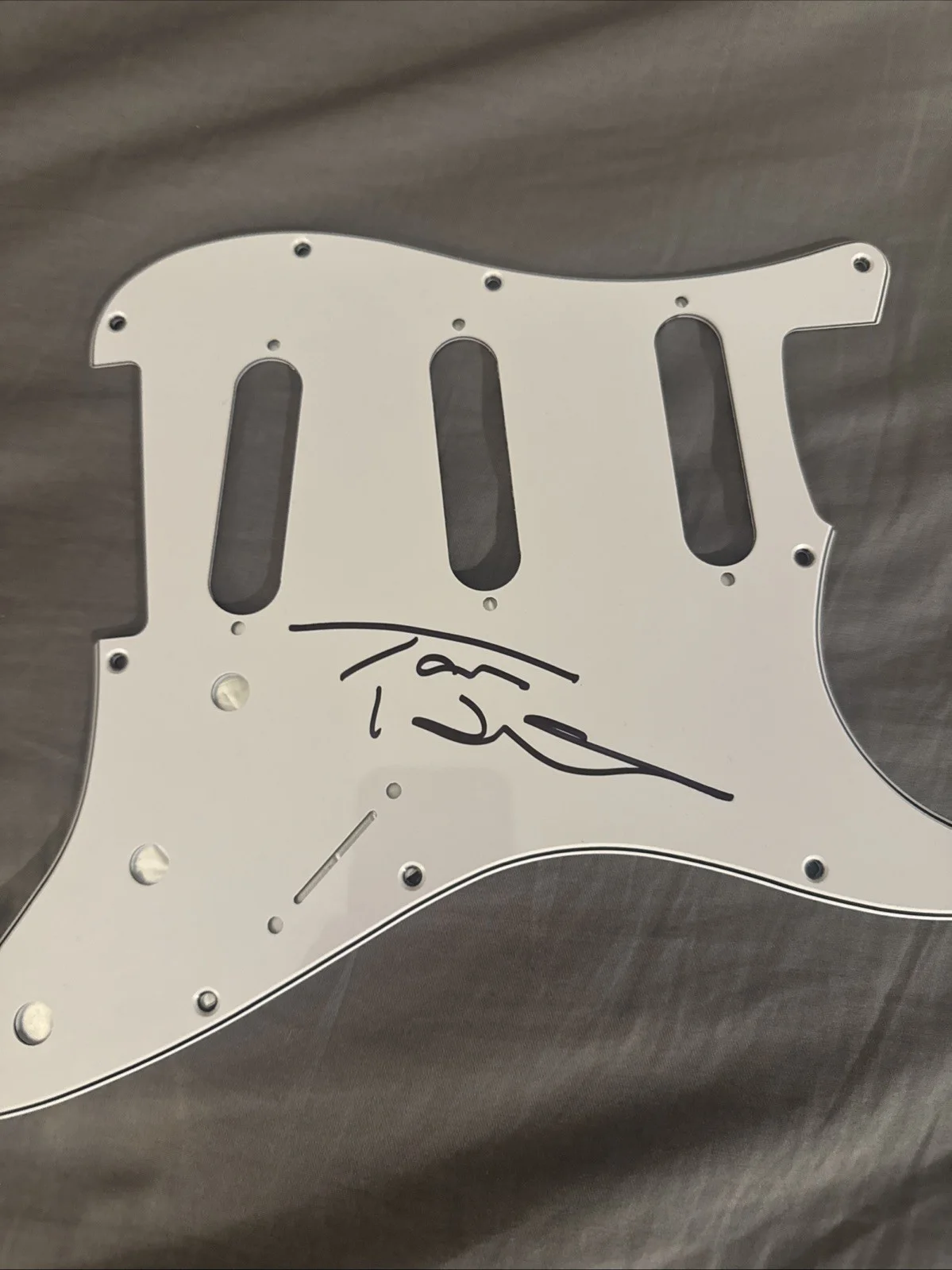Tom Hamilton AEROSMITH Signed Autographed Pick Guard Proof Of Pick With Tom, image 3