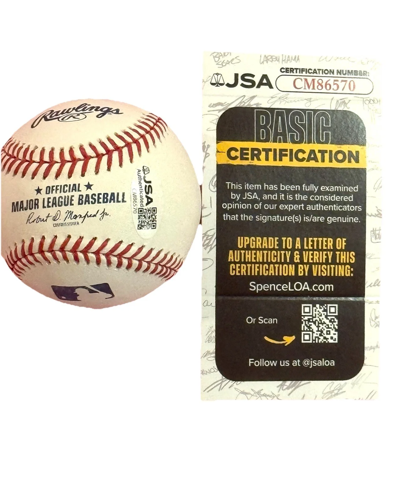 Jeff Hardy Signed Official MLB Ball Rawlings Baseball Westling Superstar WWE NXT, image 3