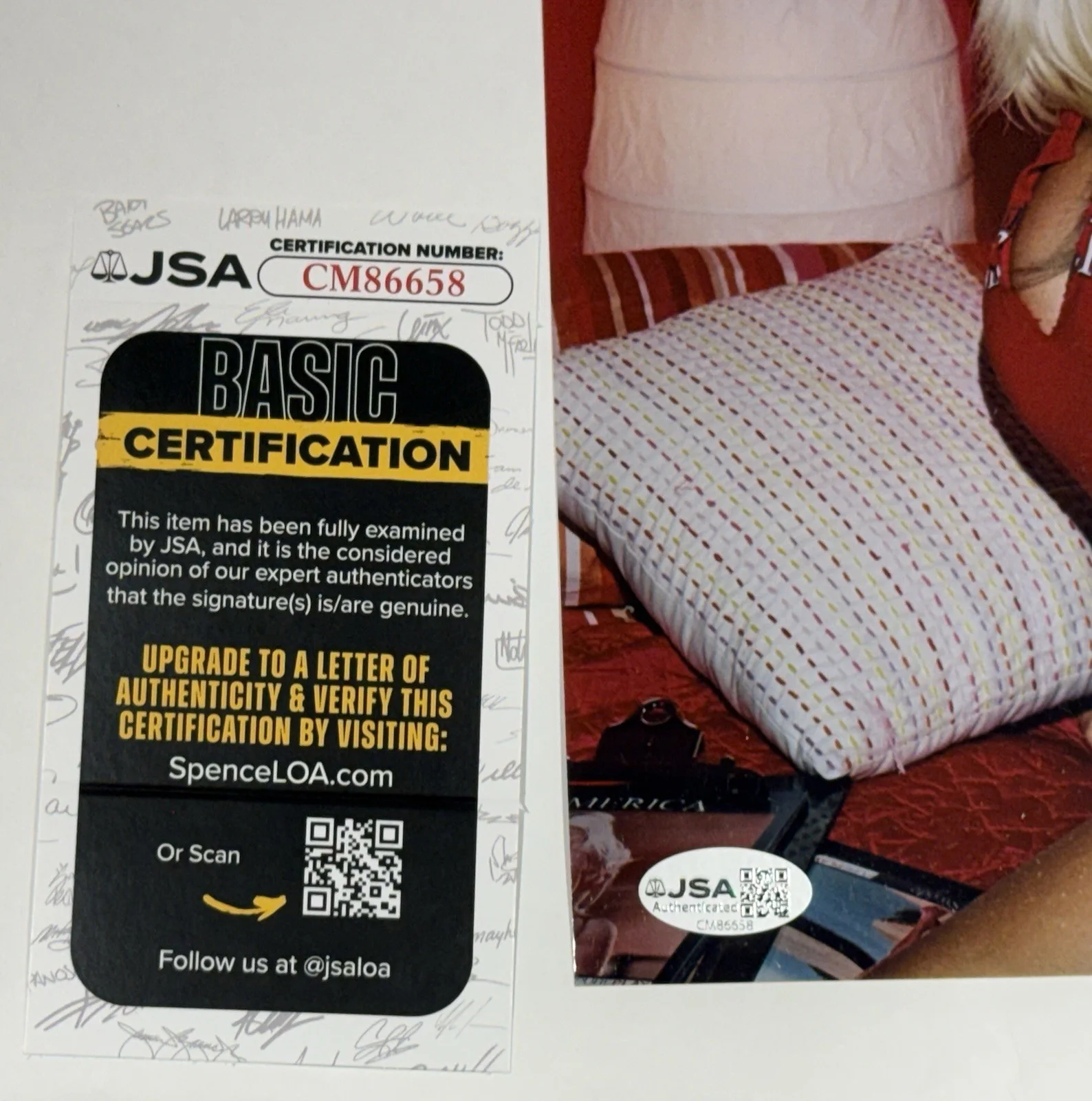 Puma Swede JSA COA Signed 8x10 PHOTO Sexy ADULT STAR AUTOGRAPH Naughty Candid, изображение 3