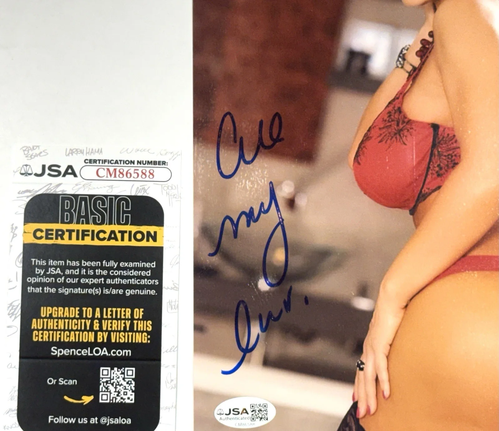 Lisa Ann Adult STAR SIGNED 8X10 PHOTO Autograph Sexy 🔥Naughty America JSA, изображение 2