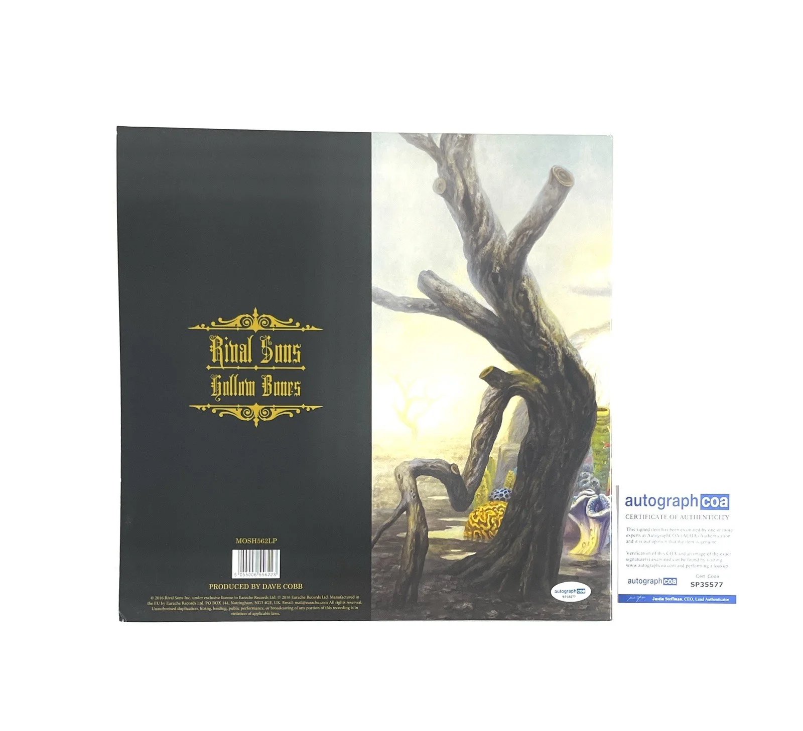 Rival Sons Signed Vinyl Record Album Autographed Hollow Bones ACOA Certified, image 2