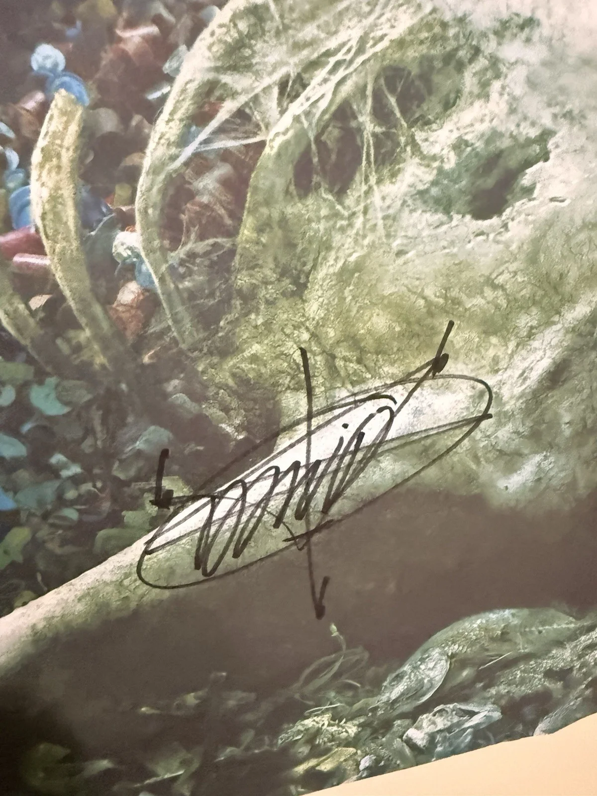 Cattle Decapitation Signed Poster w/JSA Authentication, изображение 5