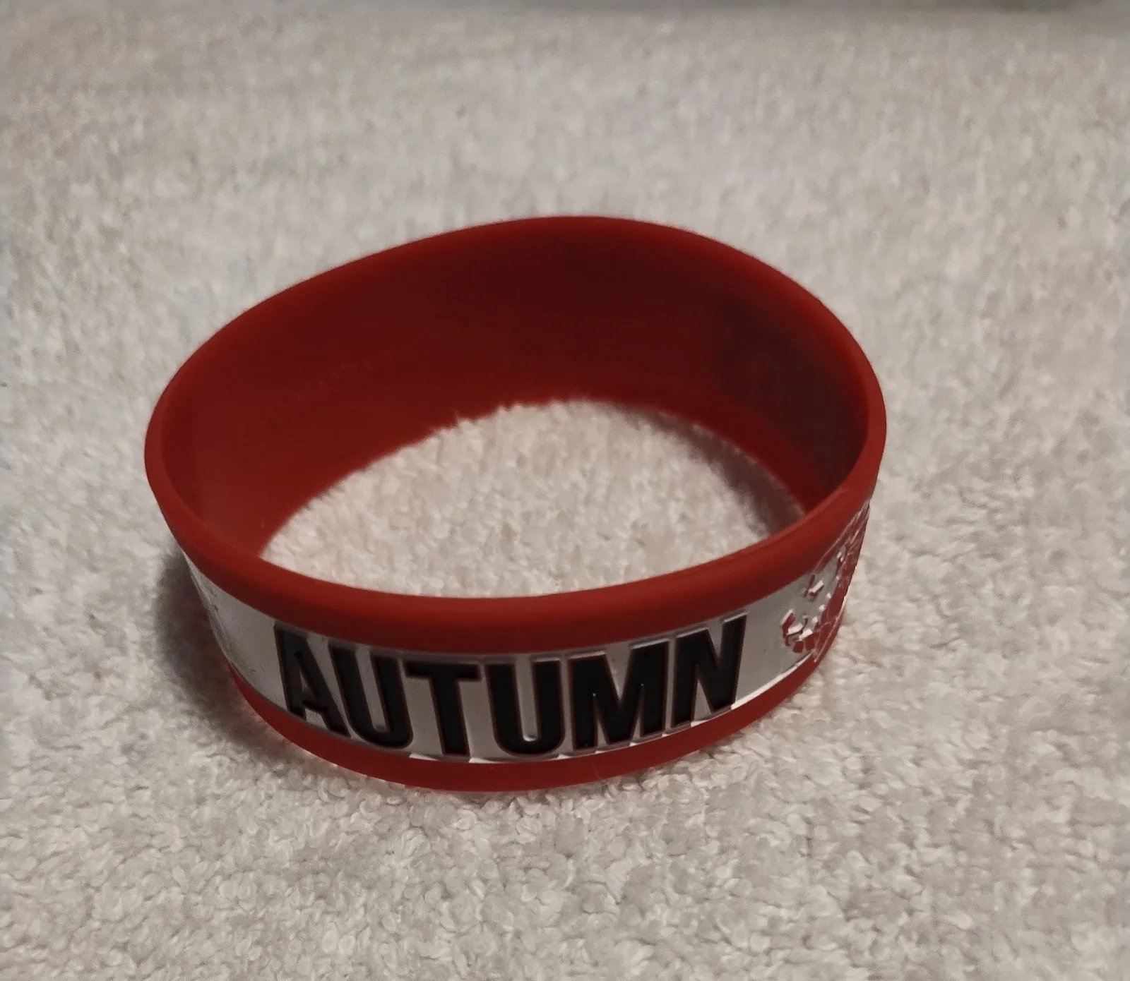 AUTUMN KINGS SIGNED VINYL DRUM HEAD GUITAR PICK BRACELET SILVER SCREENS CD PHOTO, image 3