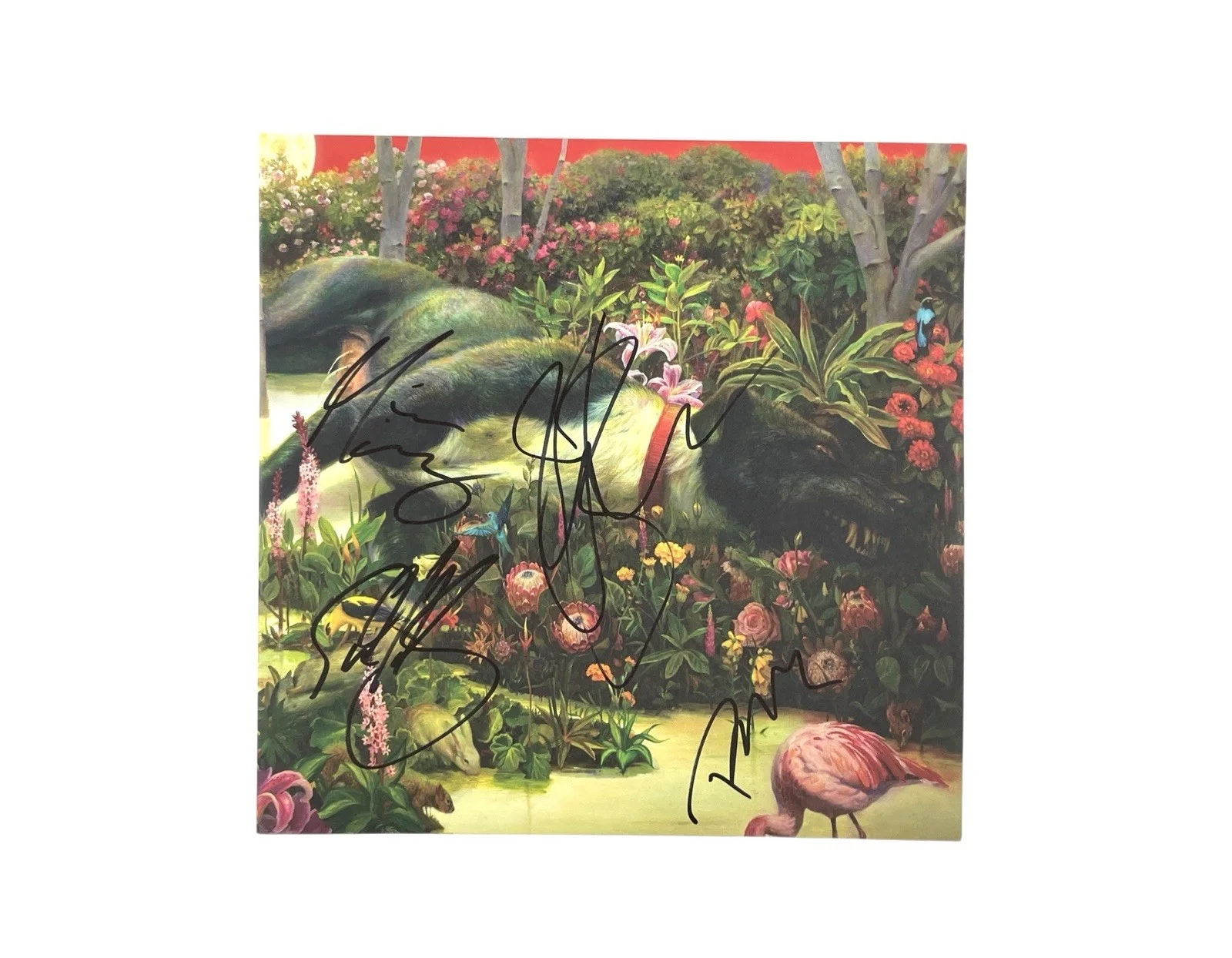 Rival Sons Rare Band Signed Vinyl Record Feral Roots Autographed ACOA Certified, image 2