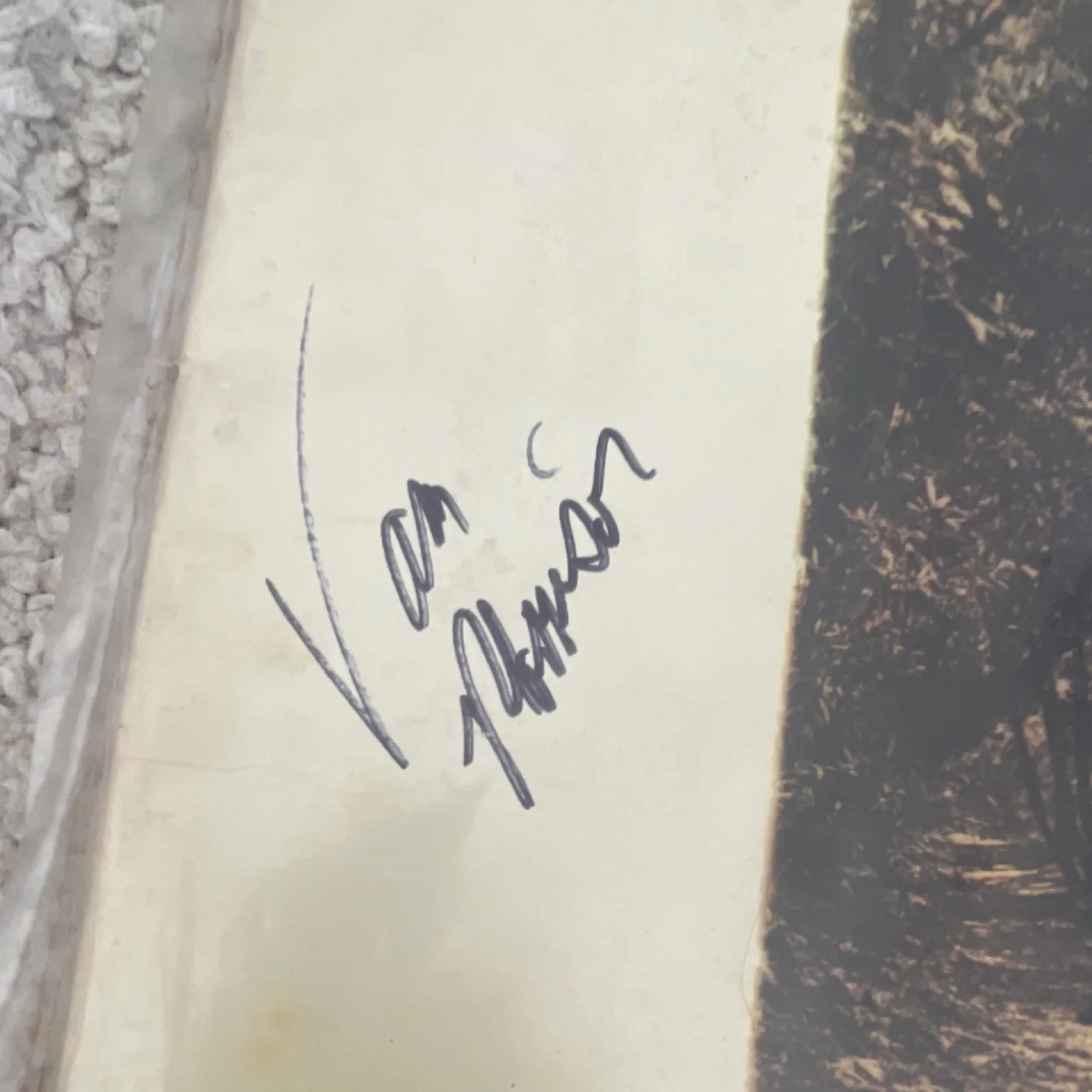 Van Morrison Tupelo Honey Original Signed Vinyl Record autographed, image 2