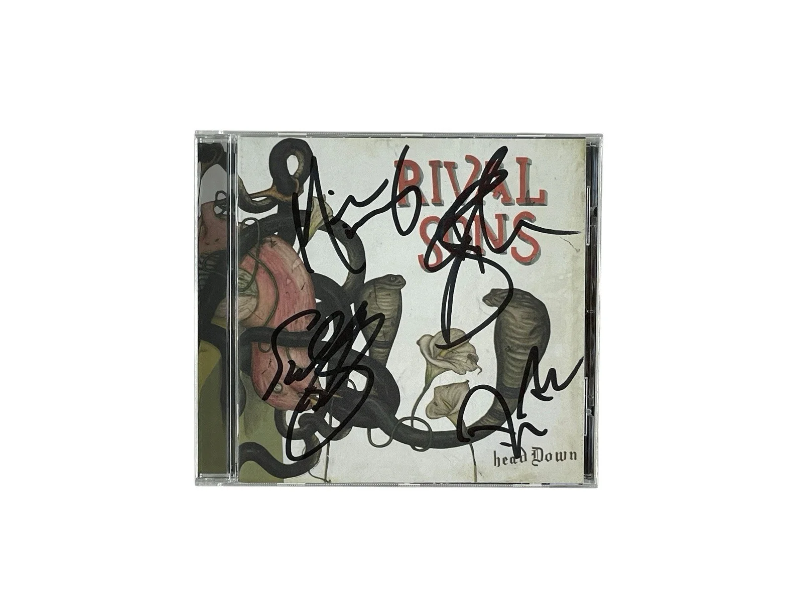 Rival Sons Autographed Head Down CD Band Signed All Four Members ACOA COA 🎸🎙️, image 2
