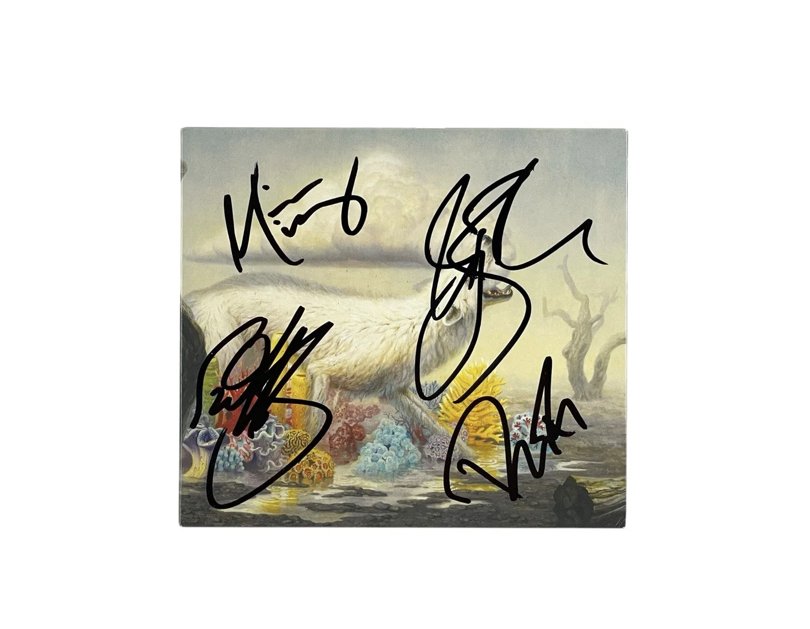 Rival Sons Autographed Hollow Bones CD Band Signed All Four Members ACOA COA 🎸, image 2