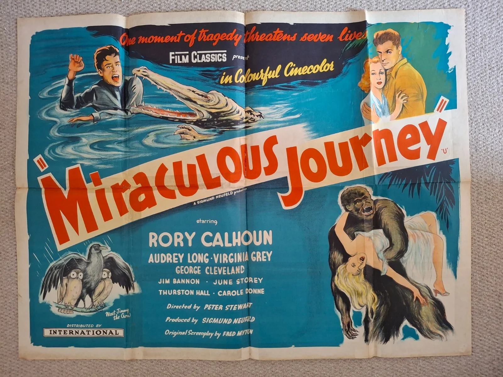 Miraculous Journey Rare & Original Film Cinema Movie Quad Poster 40 x 30 inches, изображение 2