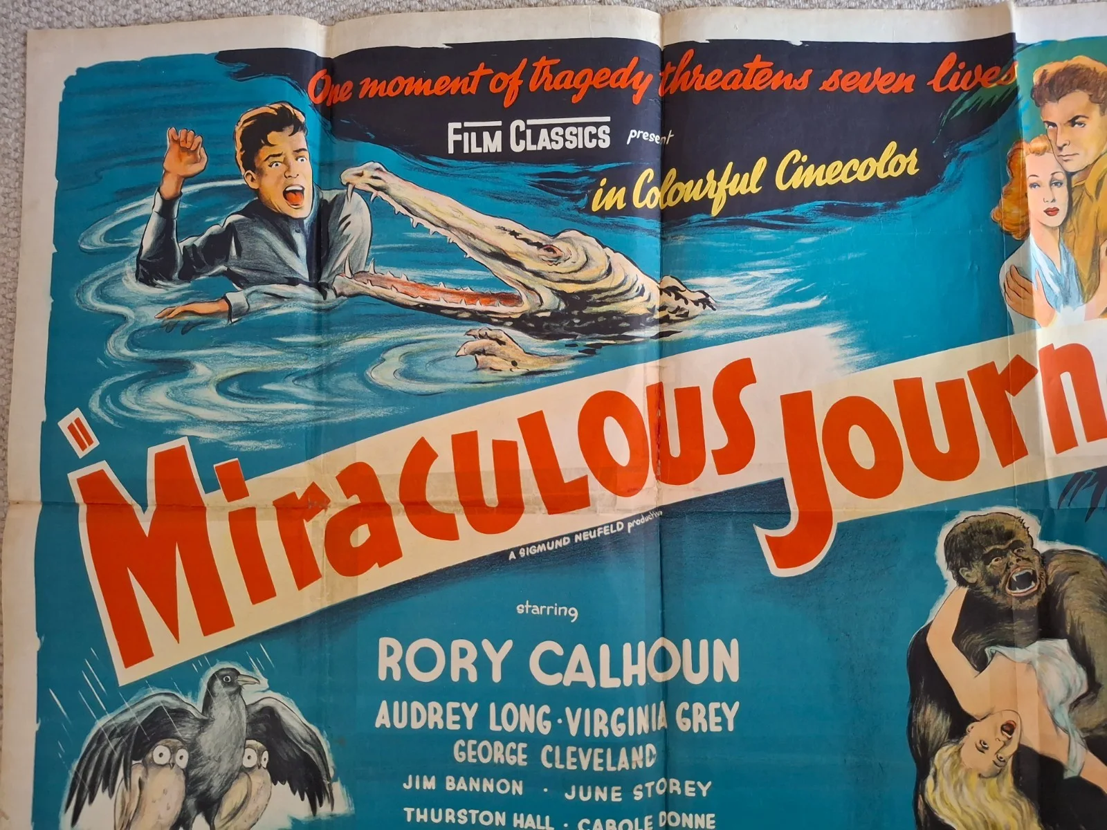 Miraculous Journey Rare & Original Film Cinema Movie Quad Poster 40 x 30 inches, изображение 3