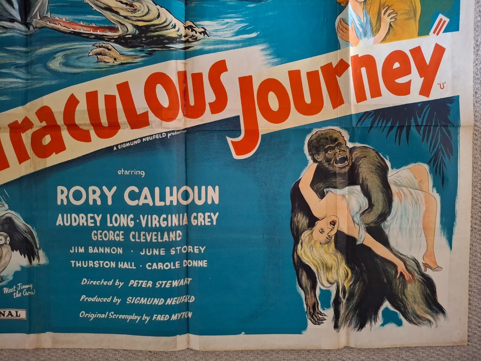 Miraculous Journey Rare & Original Film Cinema Movie Quad Poster 40 x 30 inches, изображение 5