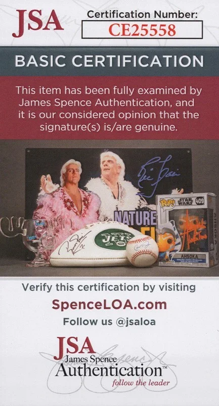 AMANDA BYNES — Amanda Bynes signed Autograph 8x10 Photo SEXY What I Like About You JSA COA Rare, изображение 2