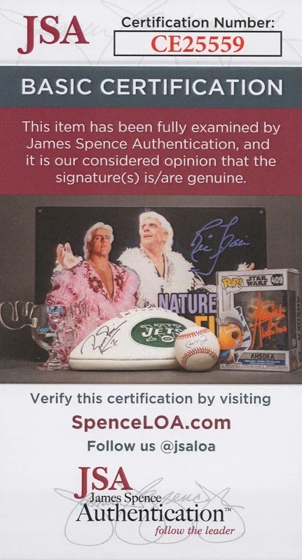 AMANDA BYNES, ZAC EFRON — Amanda Bynes & Zac Efron signed "HAIRSPRAY" 8x10 Photo EXACT PROOF Inscript JSA, image 2
