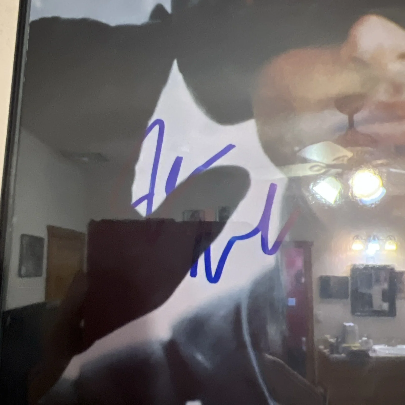 James Marsden — James Marsden Signed 8x10 Photo Cyclops X-Men Autograph PSA/DNA, image 3