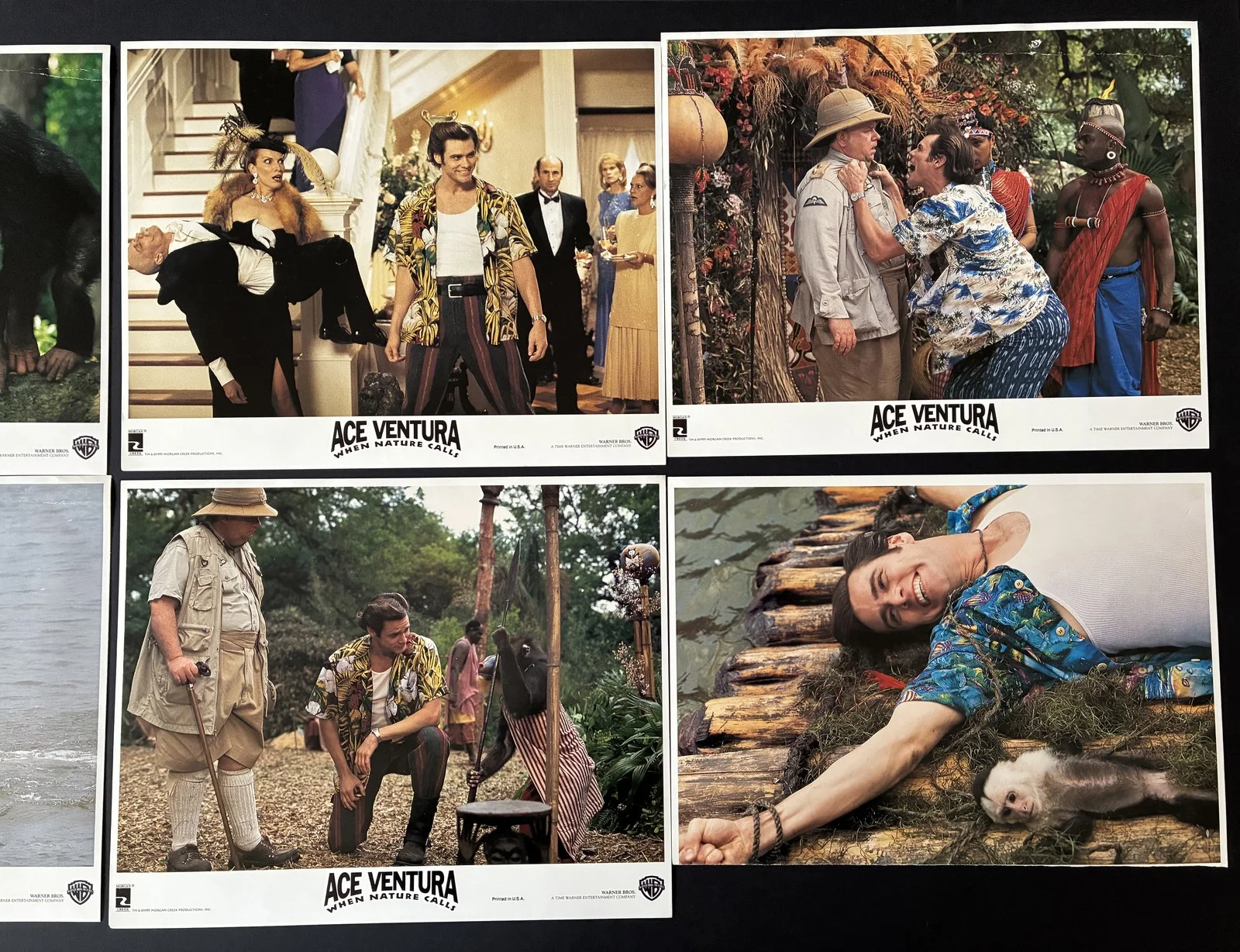 ACE VENTURA (1995) Original Lobby Cards x 7 with Jim Carey, изображение 2