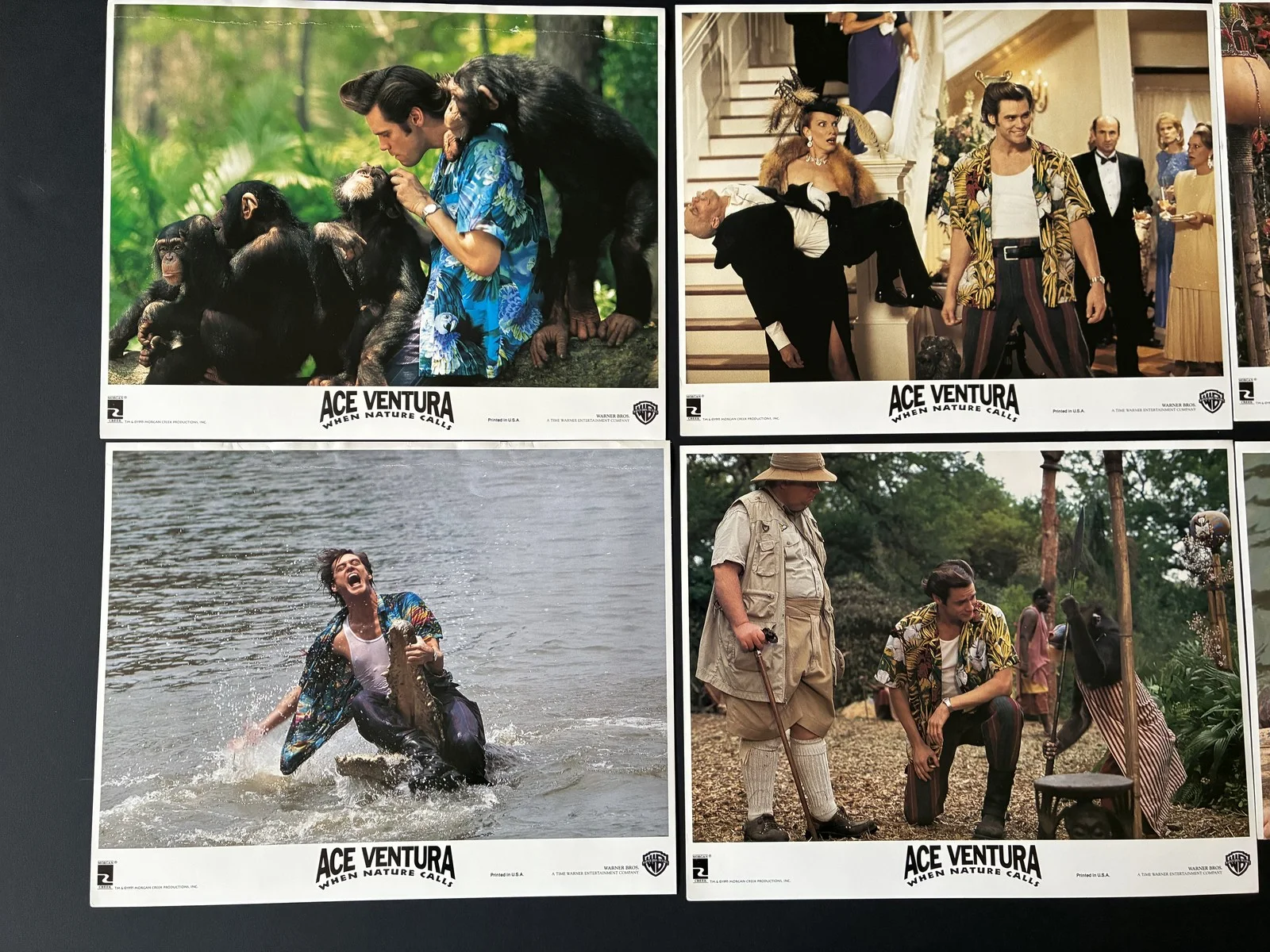 ACE VENTURA (1995) Original Lobby Cards x 7 with Jim Carey, изображение 3