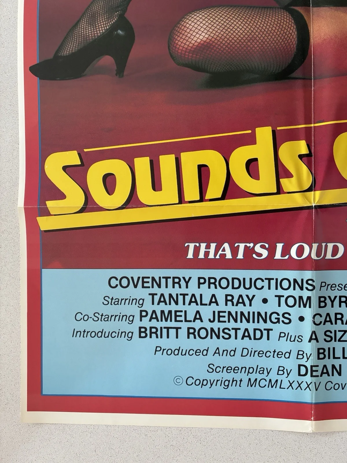 SOUNDS OF SEX! ORIGINAL POSTER 1985 XXX MOVIE ADULT RATED X TOM BYRON VINYL LP, изображение 4